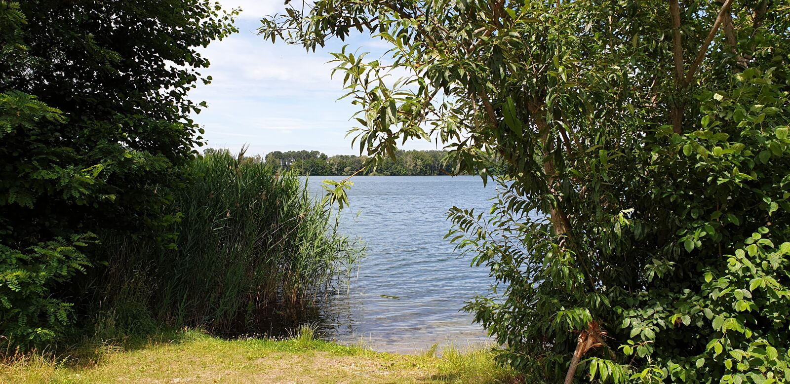 Samsung Galaxy S9 sample photo. Lake in brandenburg, nature photography