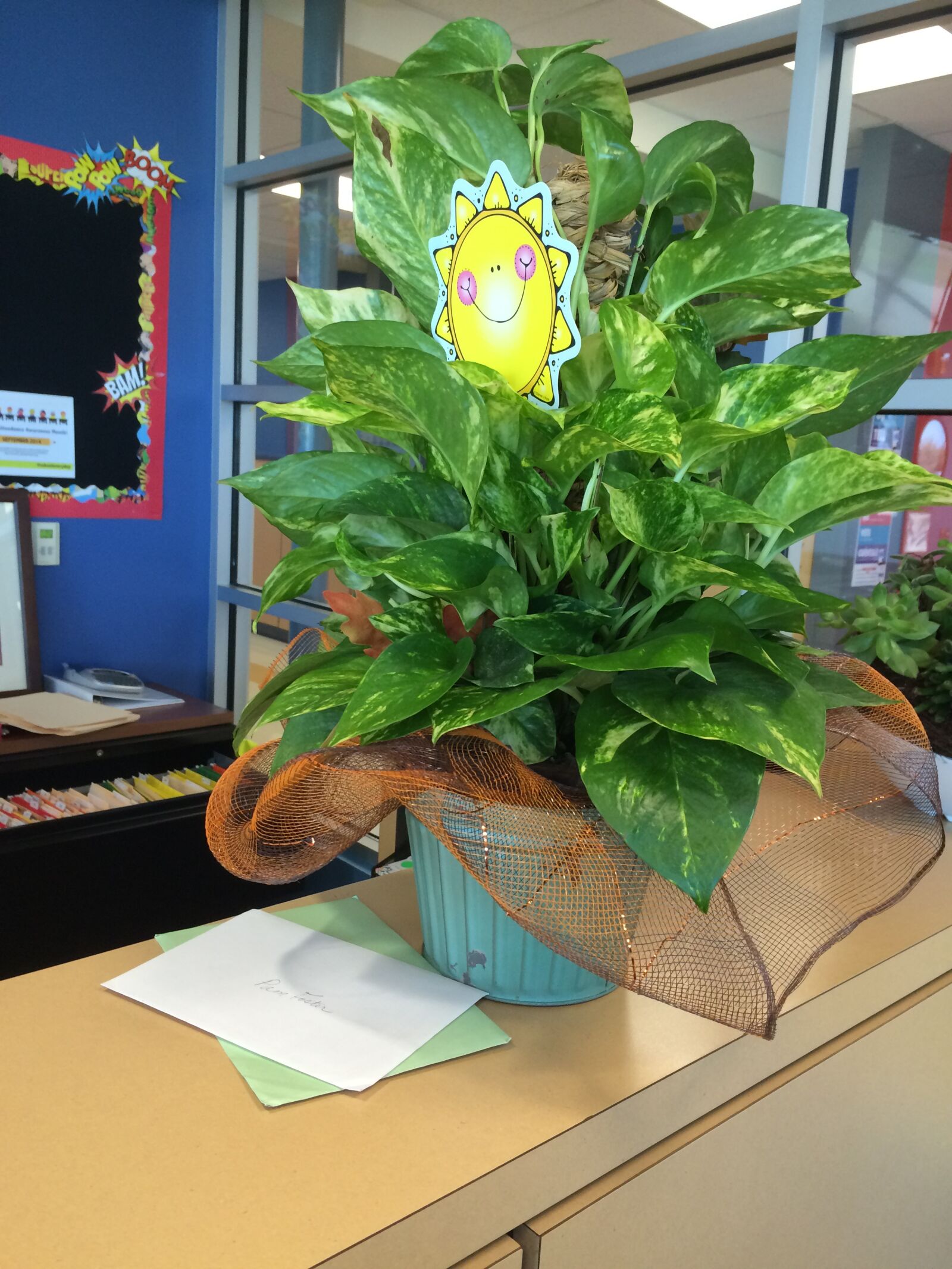 iPhone 5s back camera 4.15mm f/2.2 sample photo. Office, plant, business photography