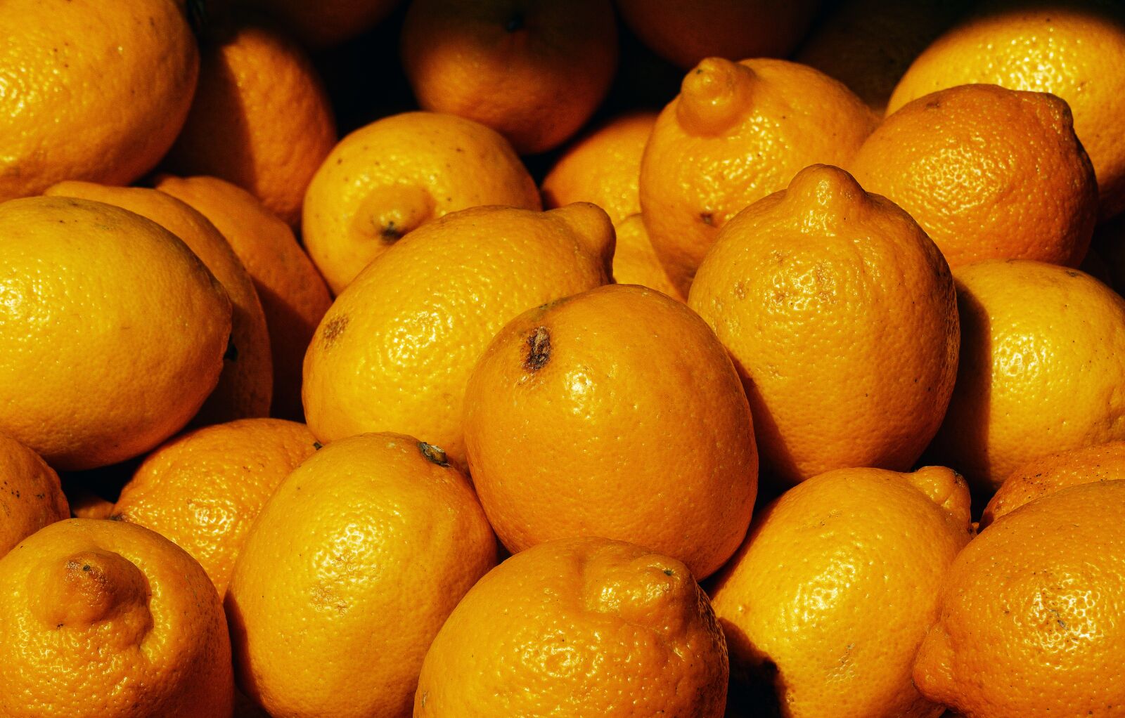 Panasonic Lumix DMC-FZ1000 sample photo. Lemons, lime, citrus fruit photography