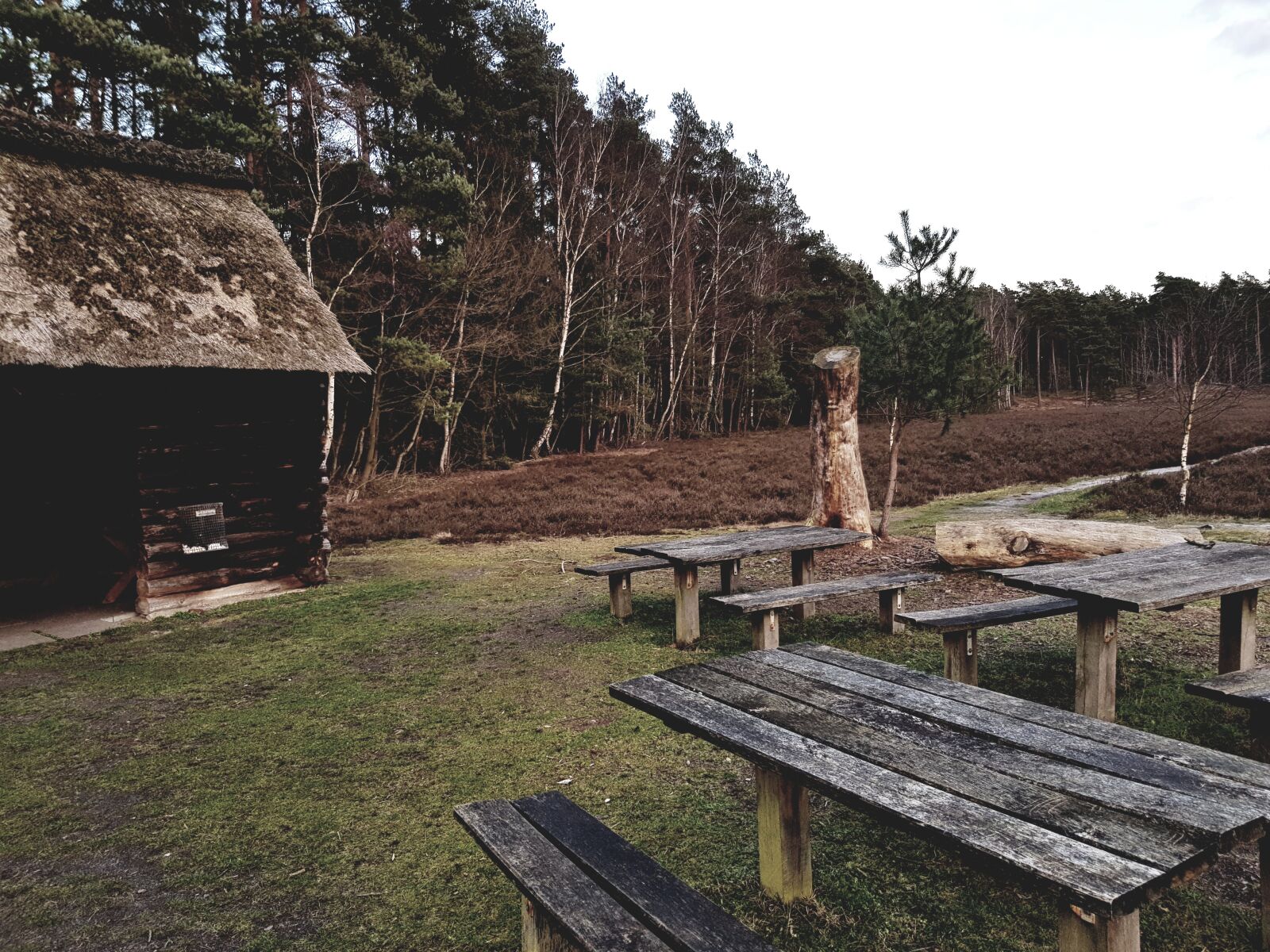 Samsung SM-N950F sample photo. L neburg heath, nature photography