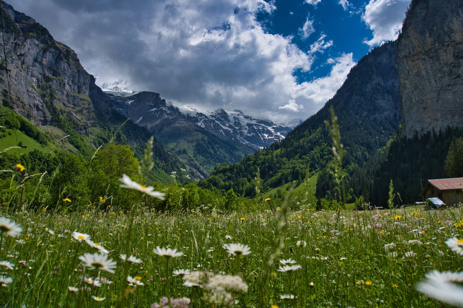 Sony a6600 sample photo. Meadow, valley, mountains photography