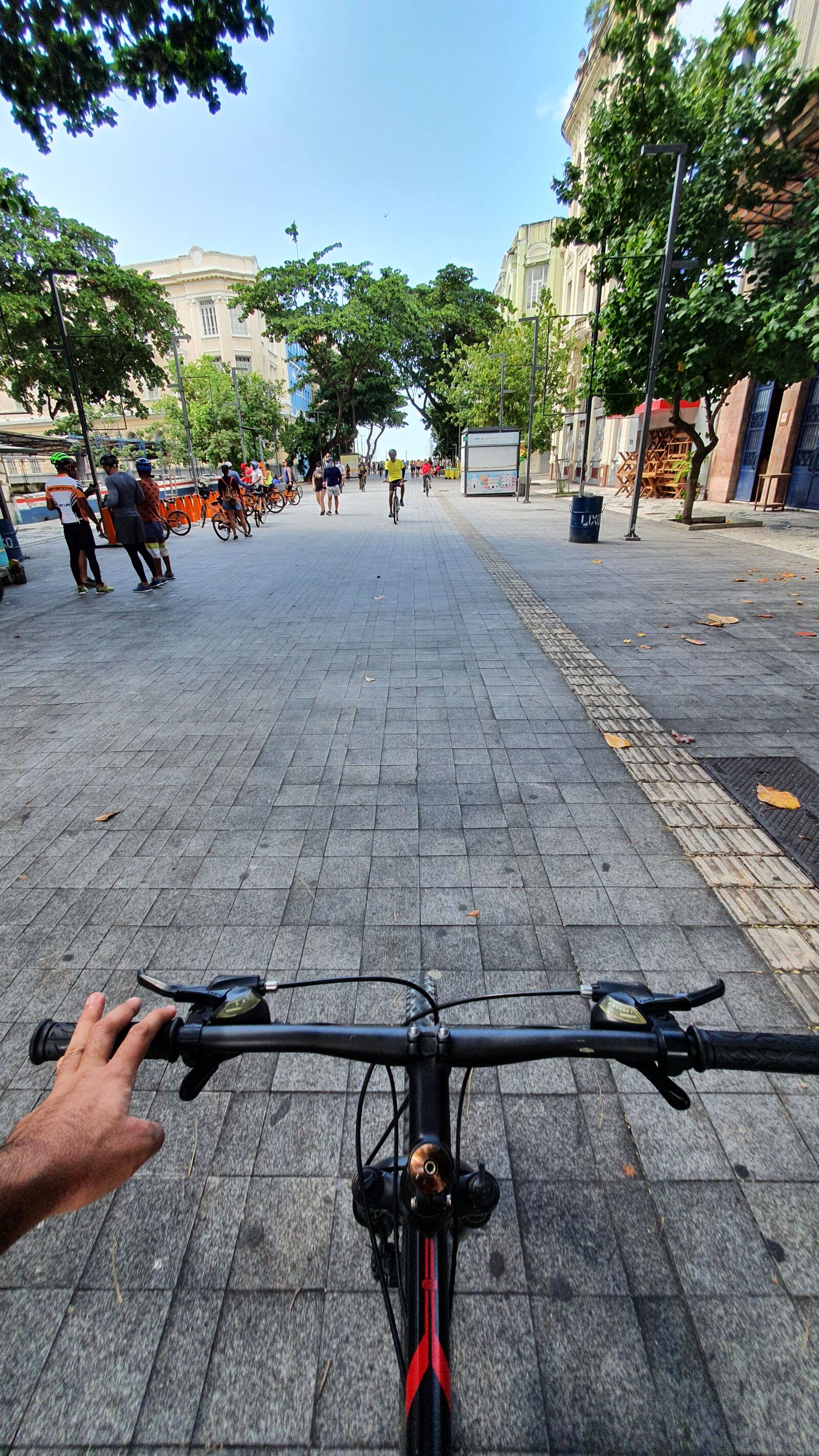 Samsung Galaxy S10e sample photo. Bike, cycle, cycling photography