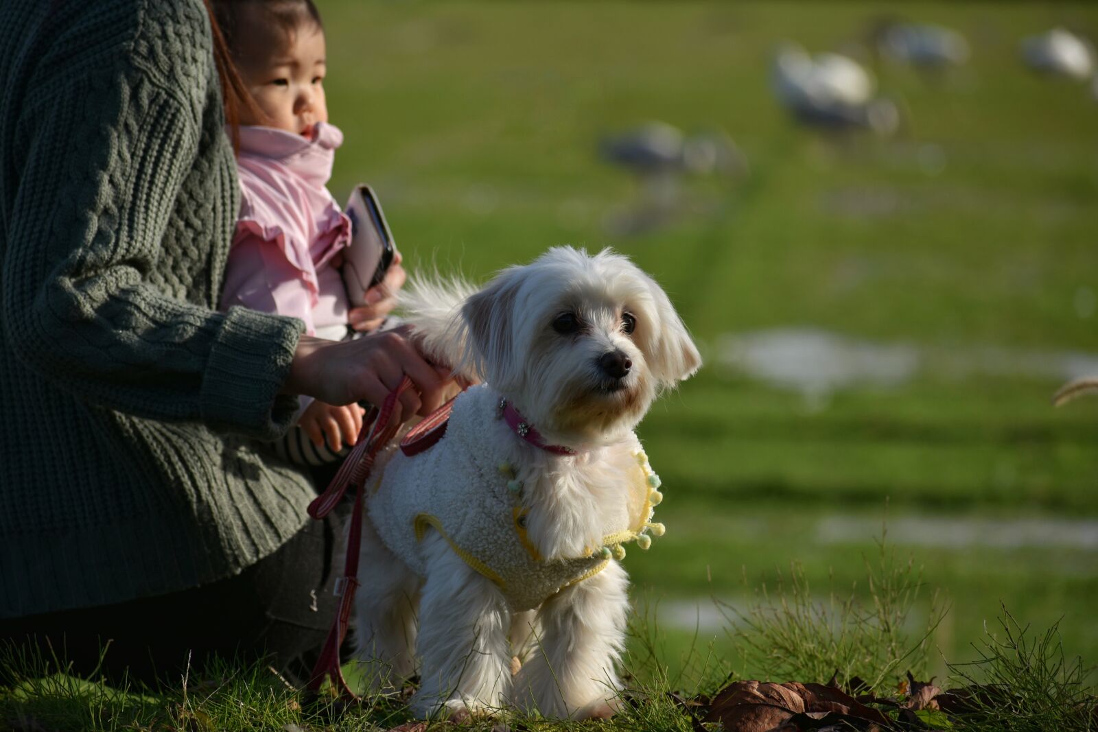 Nikon D7200 sample photo. Natural, landscape, at dusk photography