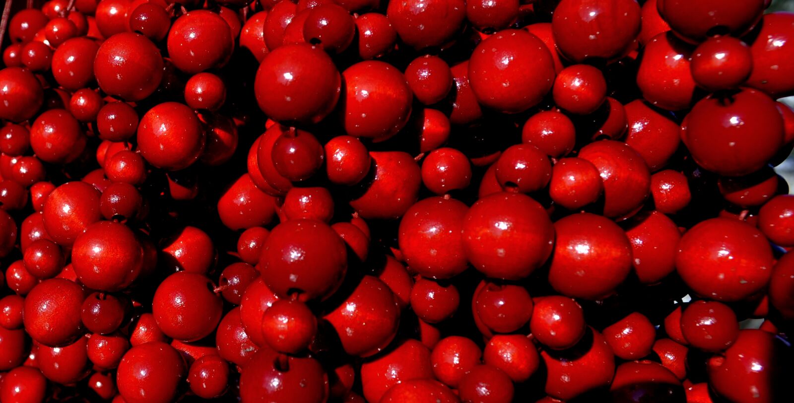 Nikon D5000 sample photo. Chaplet, red, ornament photography