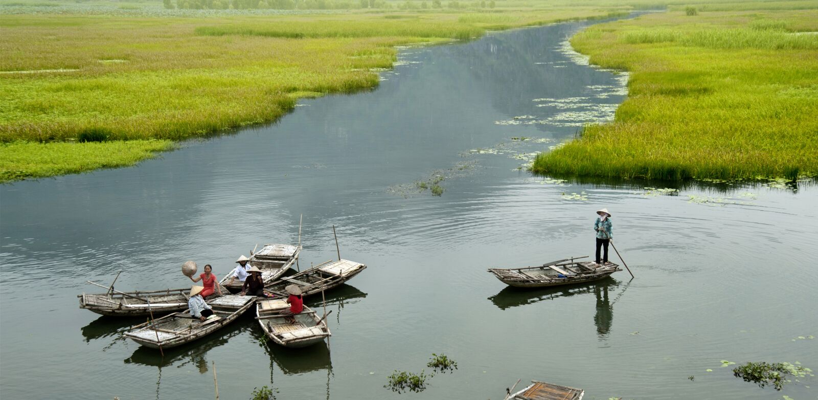 Nikon D700 sample photo. The boat, flower, ninh photography