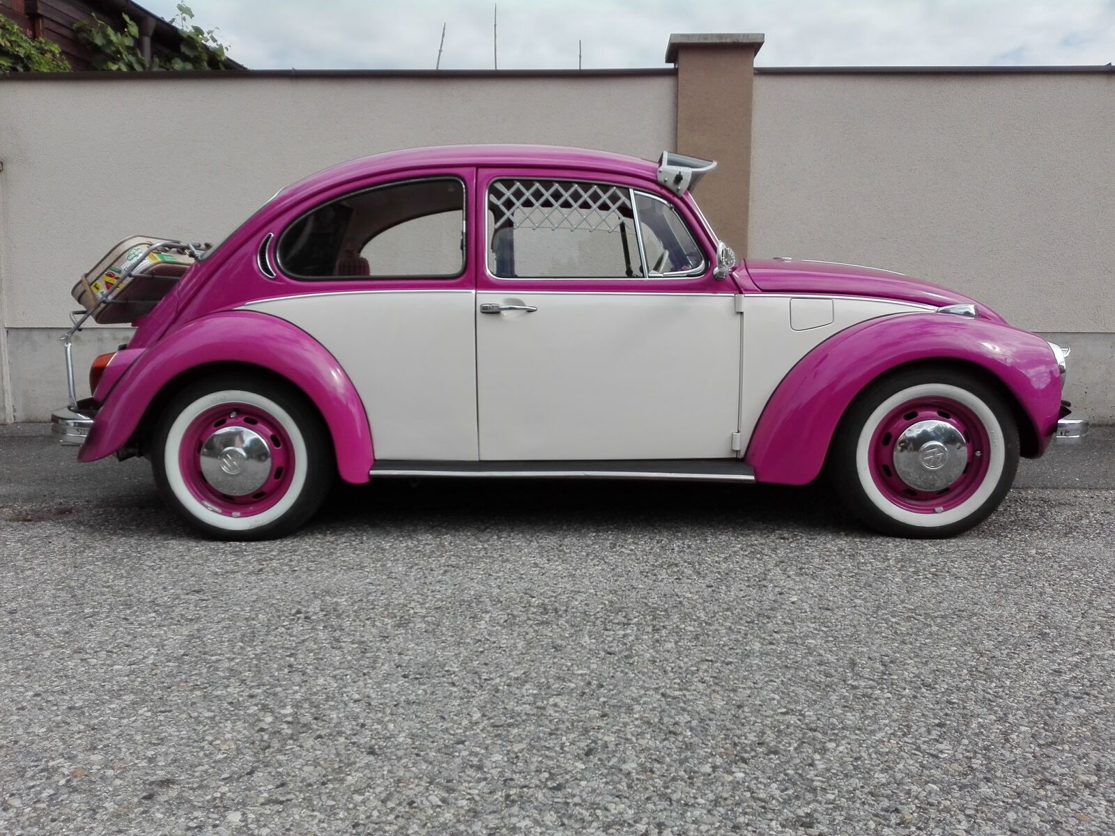 HUAWEI P8 Lite sample photo. Beetle, pop, pink photography