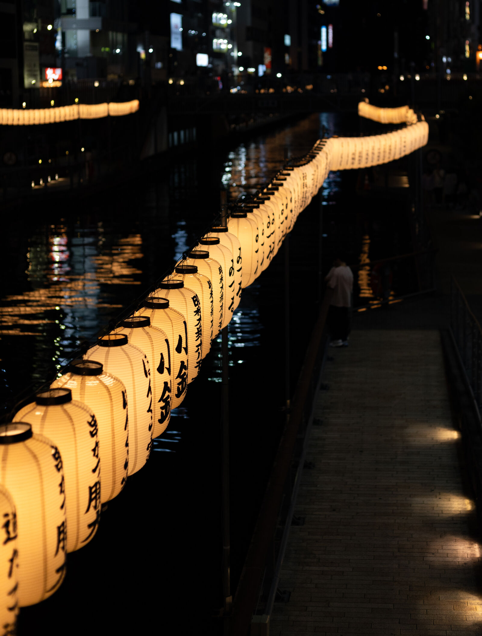 Canon EF 50mm F1.8 STM sample photo