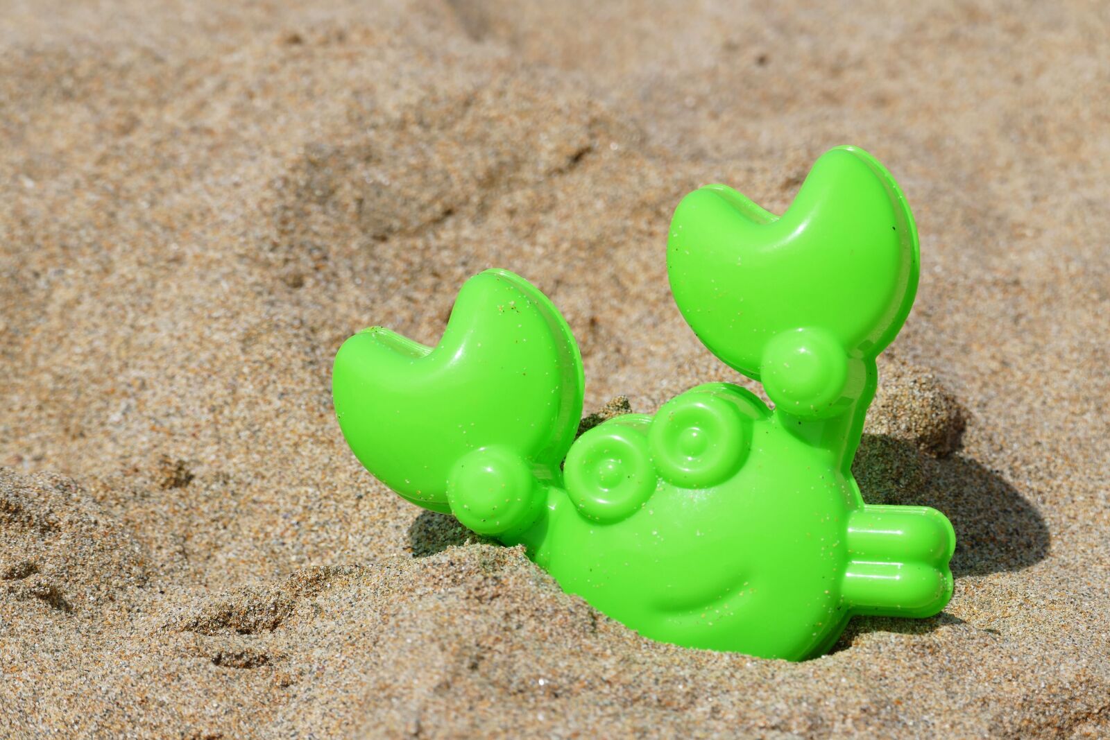 Panasonic Lumix DMC-FZ1000 sample photo. Beach, crab, toy photography