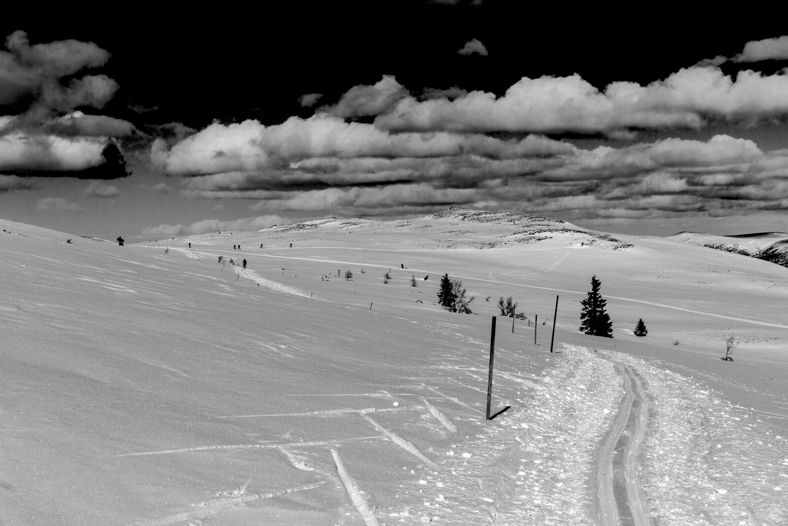 Canon EOS 7D sample photo. Snow, winter, the nature photography