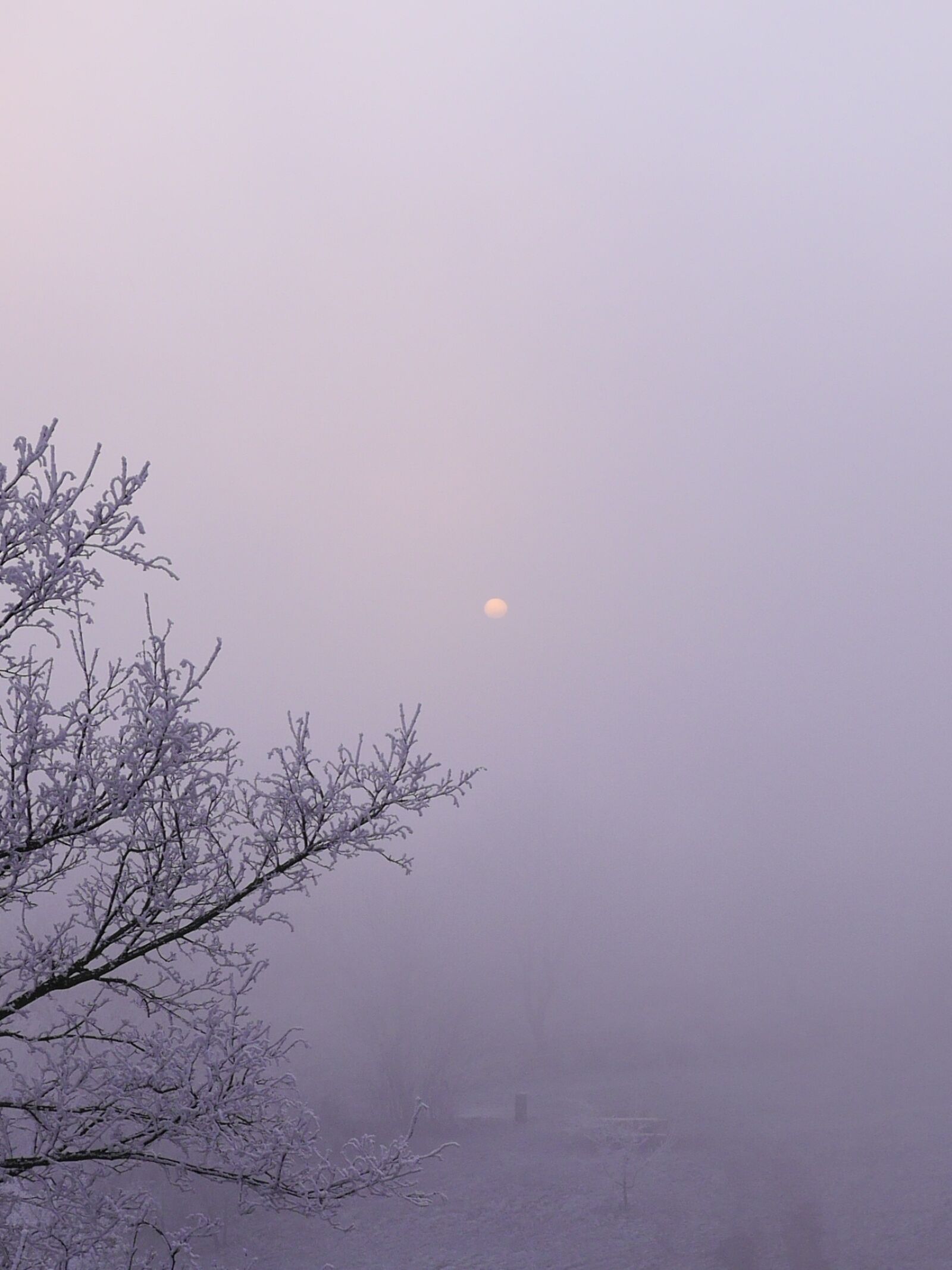 Panasonic Lumix DMC-G6 sample photo. Winter, sun, the fog photography