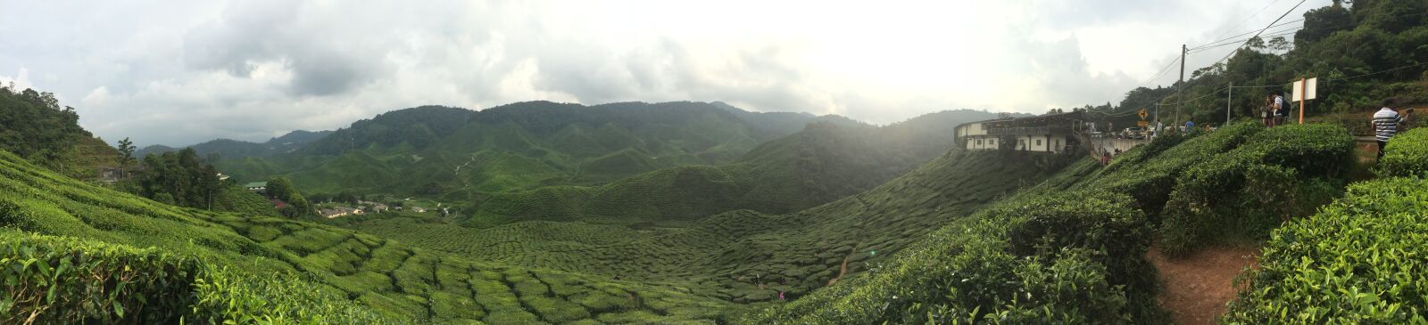 iPhone 5s back camera 4.15mm f/2.2 sample photo. Panoramic, photography, of, green photography