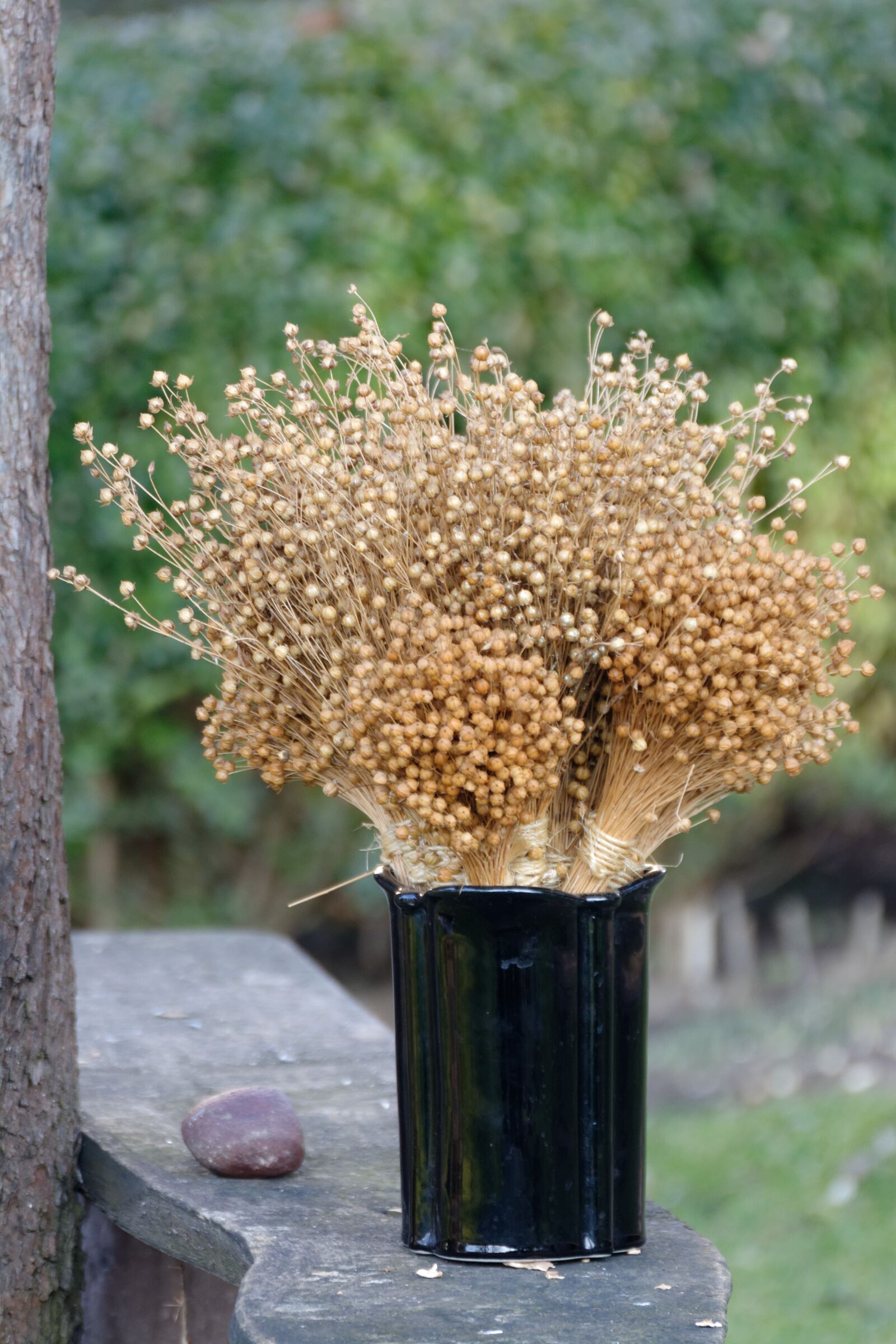 Nikon D5200 sample photo. Nature, flax, flax bouquets photography