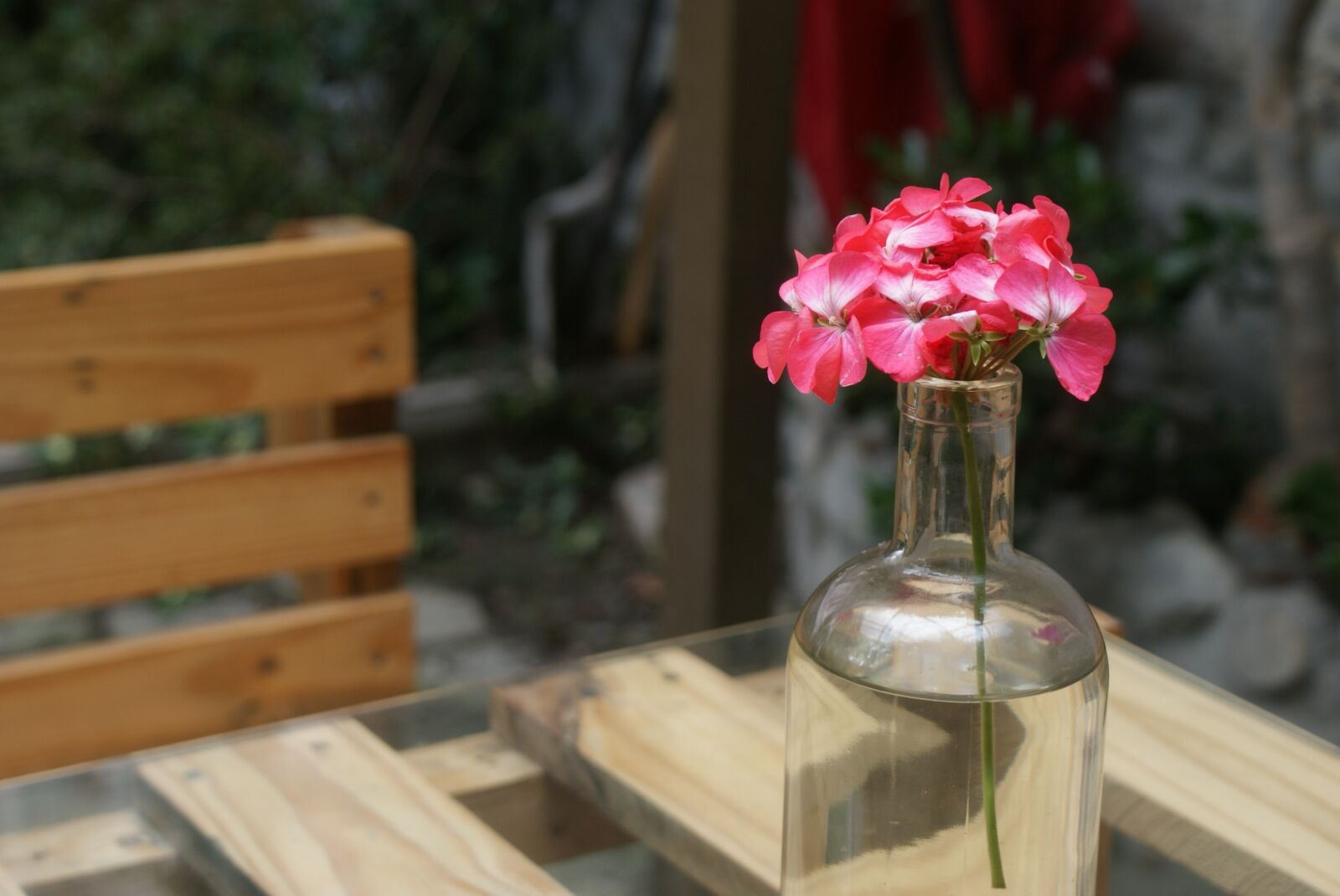 Sony Alpha DSLR-A300 sample photo. Glass, wood, leaves photography