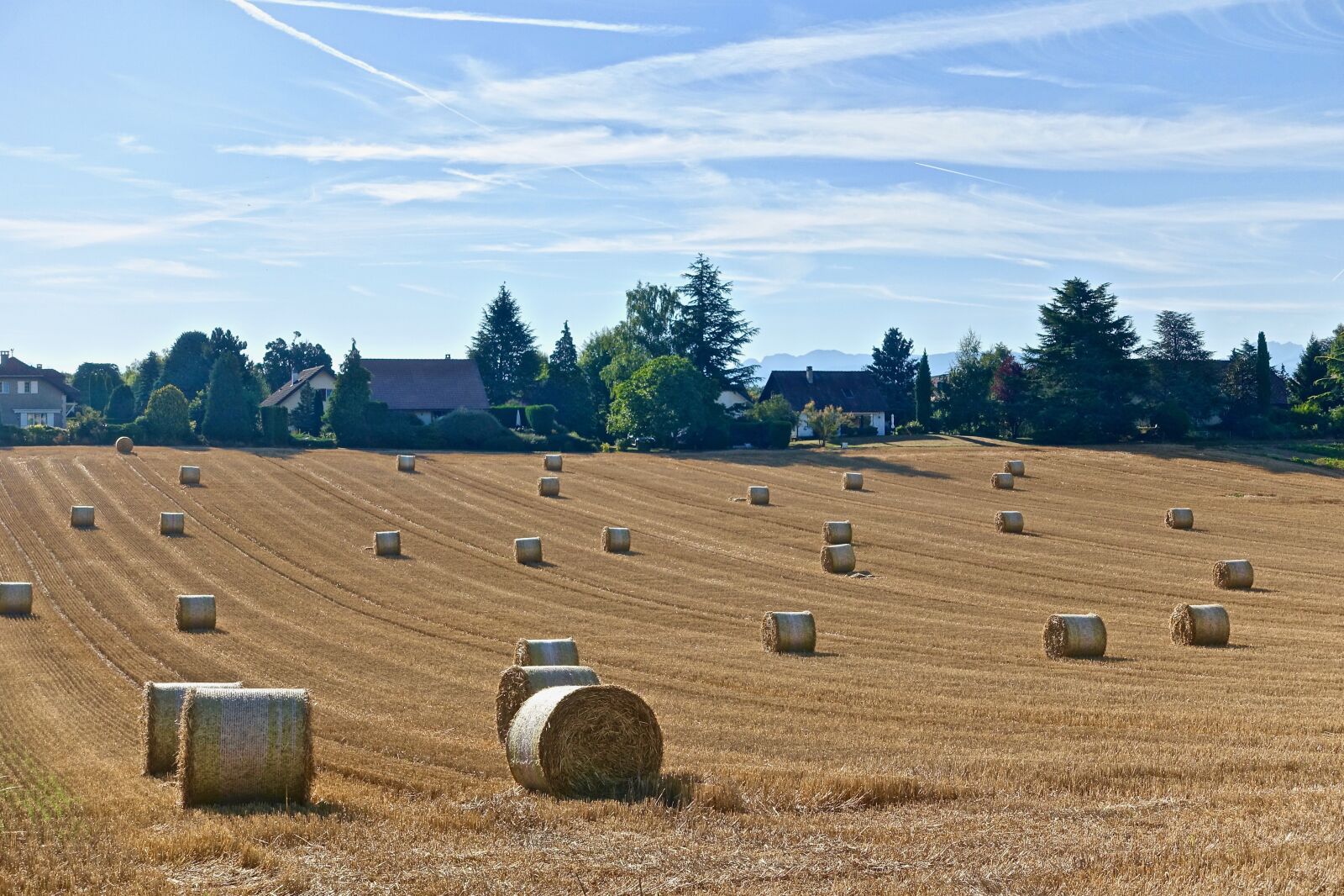 Sony Cyber-shot DSC-RX100 III sample photo. Harvest, bales, hay photography