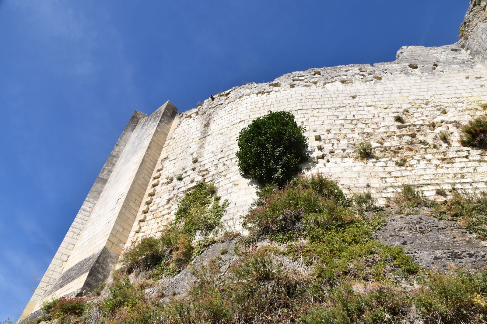 Nikon D5600 sample photo. Creepy, fortification, castle l photography