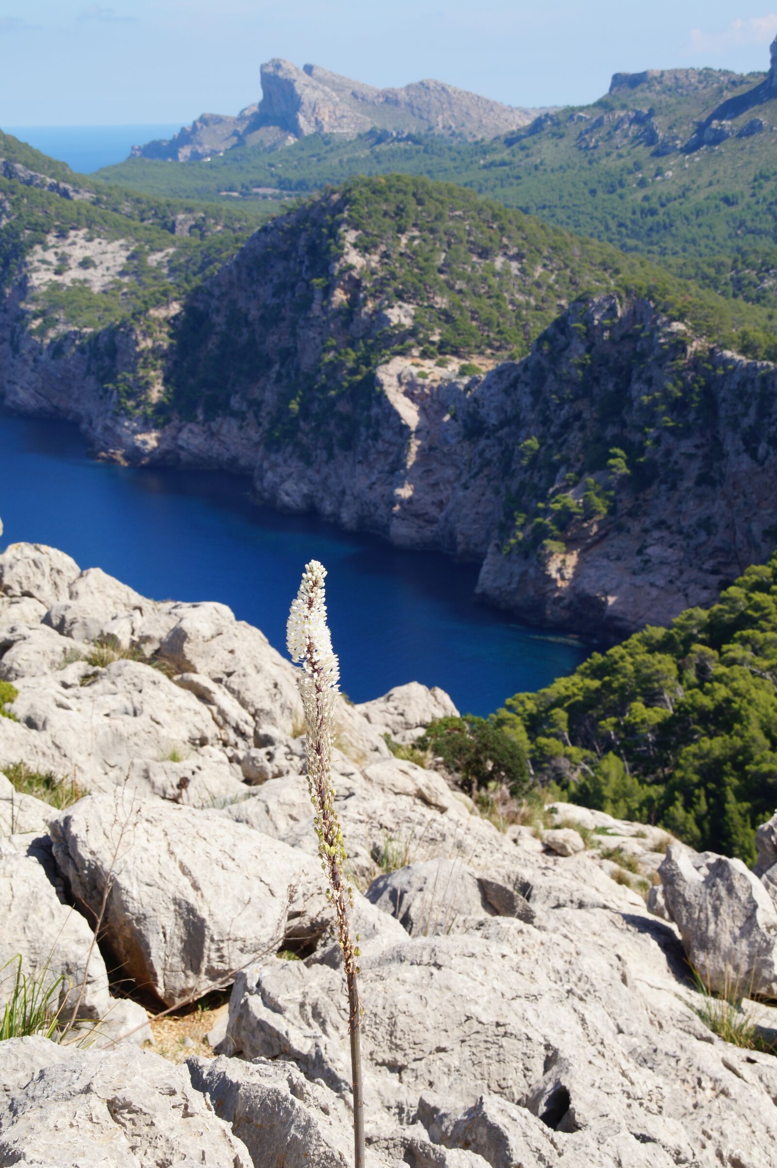 Sony SLT-A58 sample photo. Mallorca, northwest, ozean photography