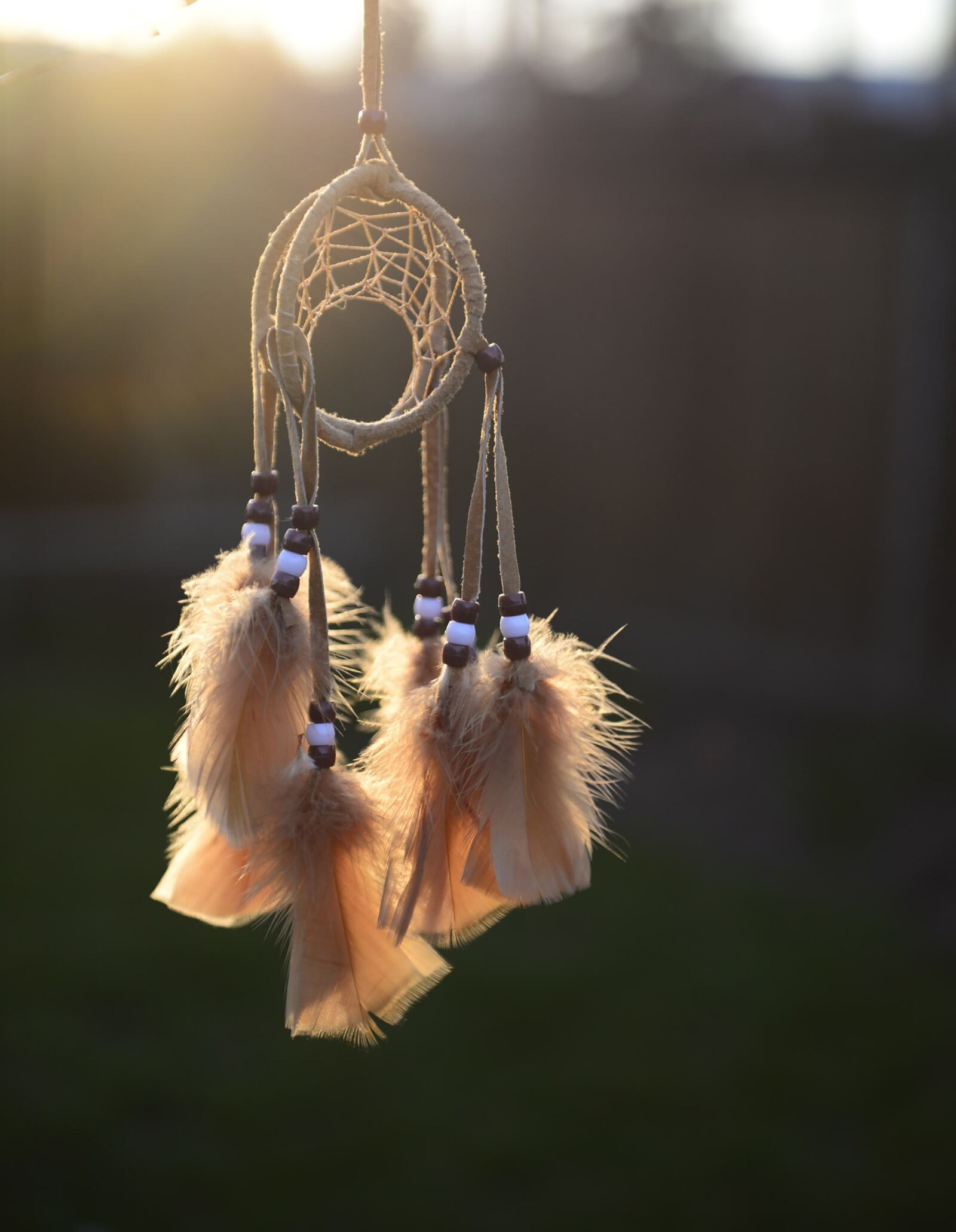 Nikon D610 sample photo. Dream, catcher, indian photography