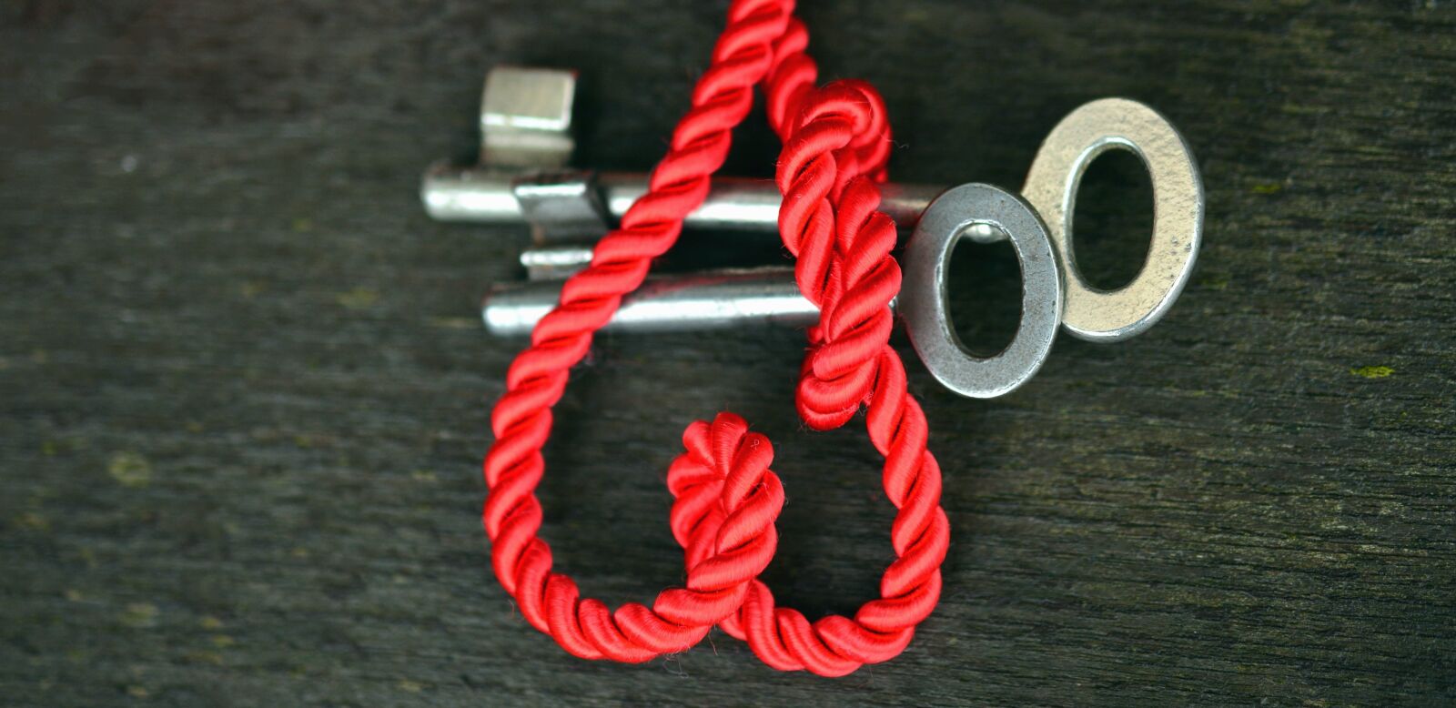 Nikon D5200 sample photo. Key, love, metal, rope photography
