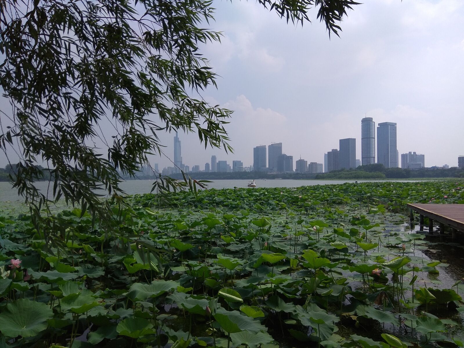 Xiaomi Redmi Note 4X sample photo. Xuanwu lake, lake, nanjing photography
