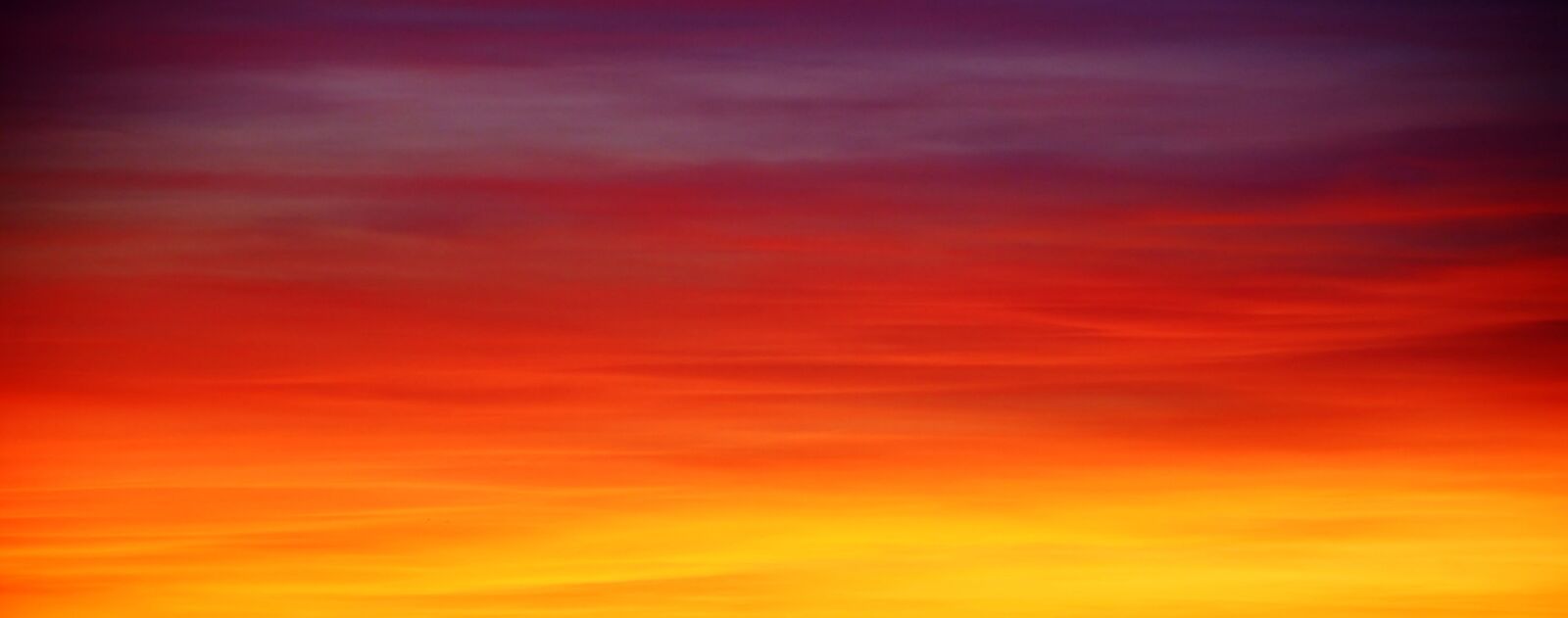 Nikon D7200 sample photo. Background, panorama, sunset photography