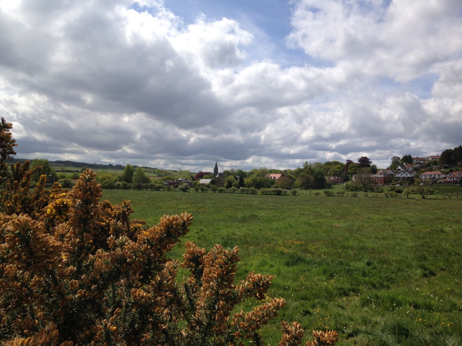 Apple iPhone 5c sample photo. Countryside, grass, ruswarp photography