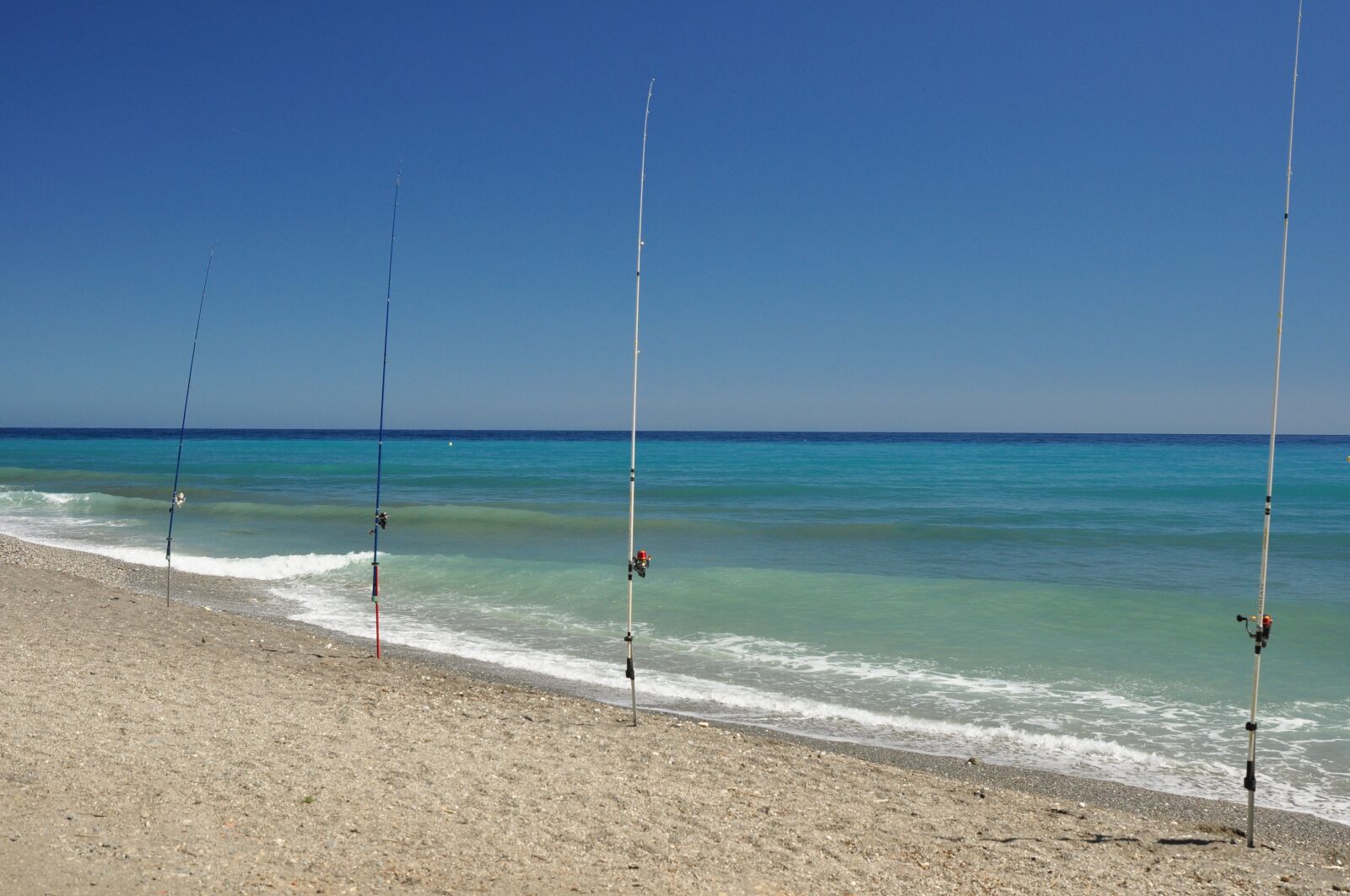 Nikon D90 sample photo. Mediterranean, fish, sea photography