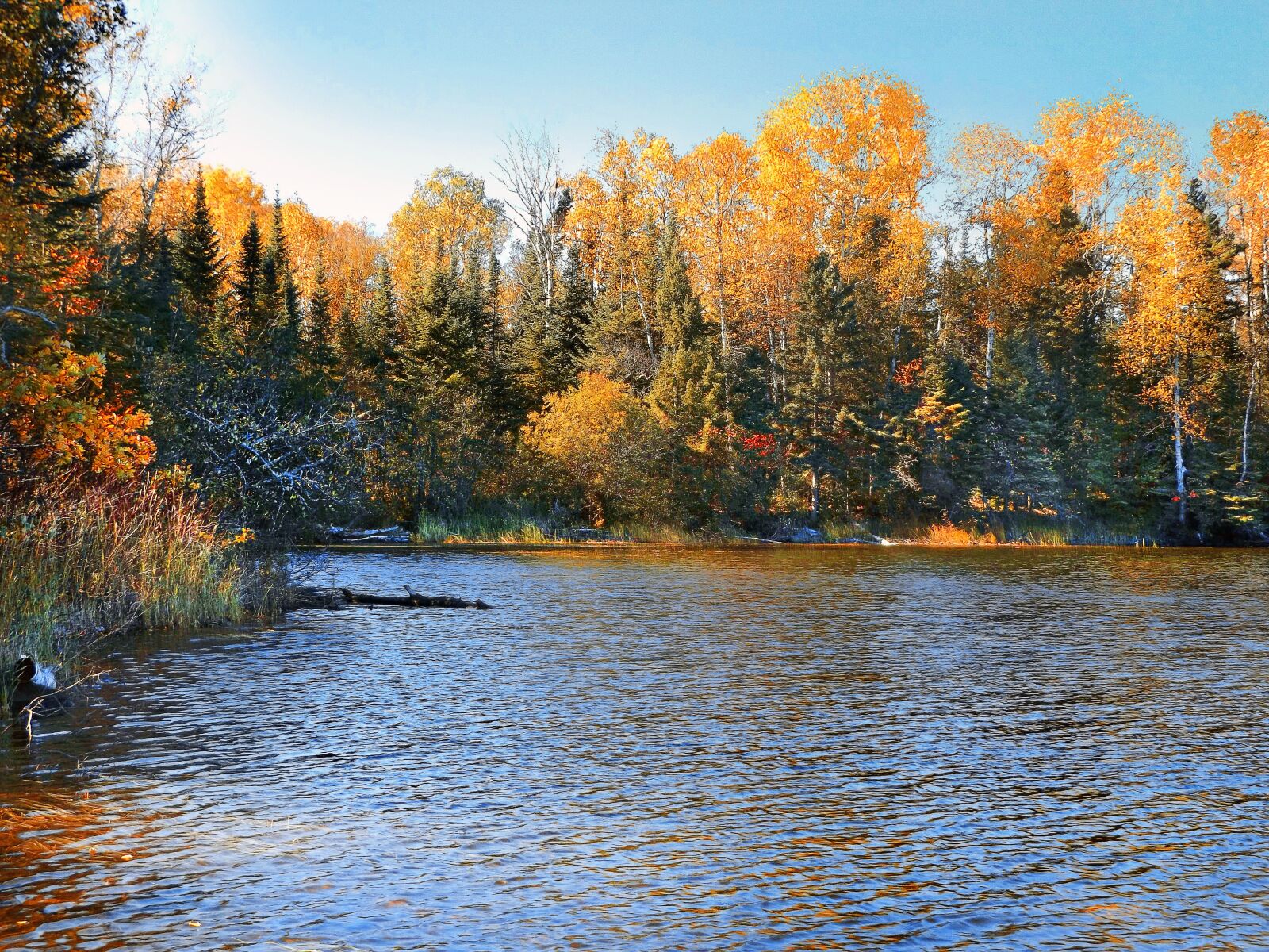 Fujifilm FinePix S8600 sample photo. Autumn, lake, water photography