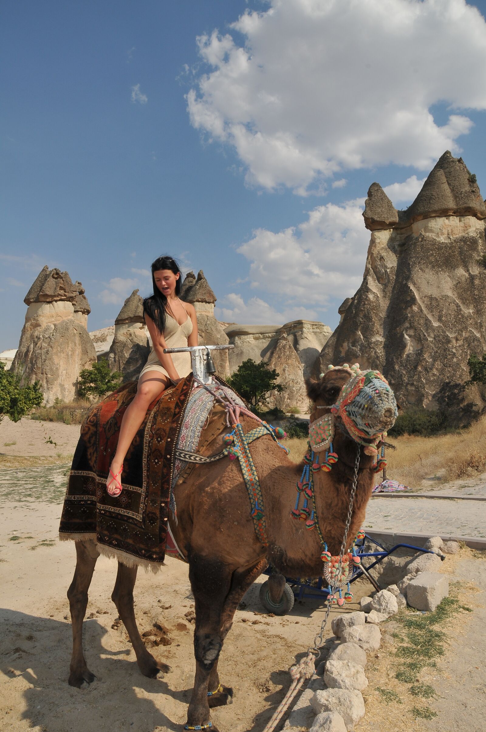 Nikon D300 sample photo. Camel, camel's, girl photography