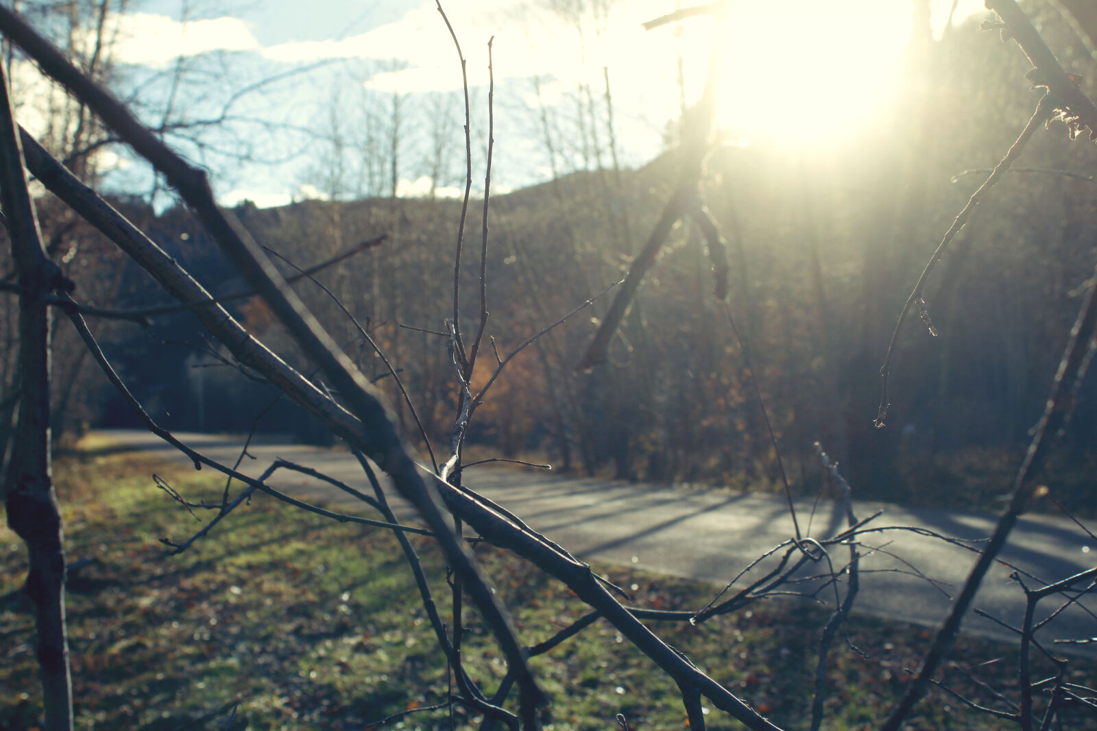 Canon EOS 650D (EOS Rebel T4i / EOS Kiss X6i) sample photo. Mothernature, paved, road photography