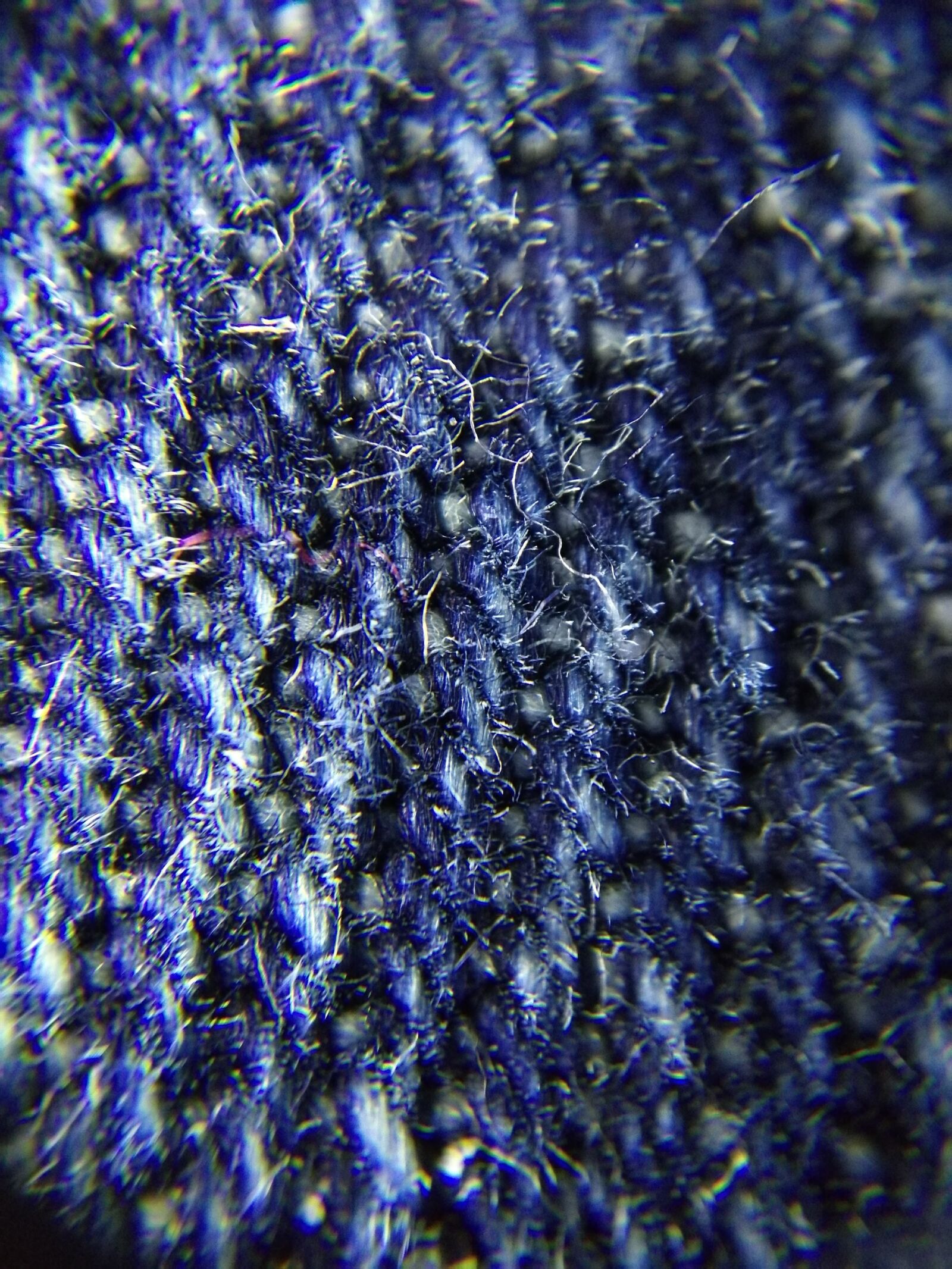 HUAWEI P9 sample photo. Blue, blue, cloth, blue photography