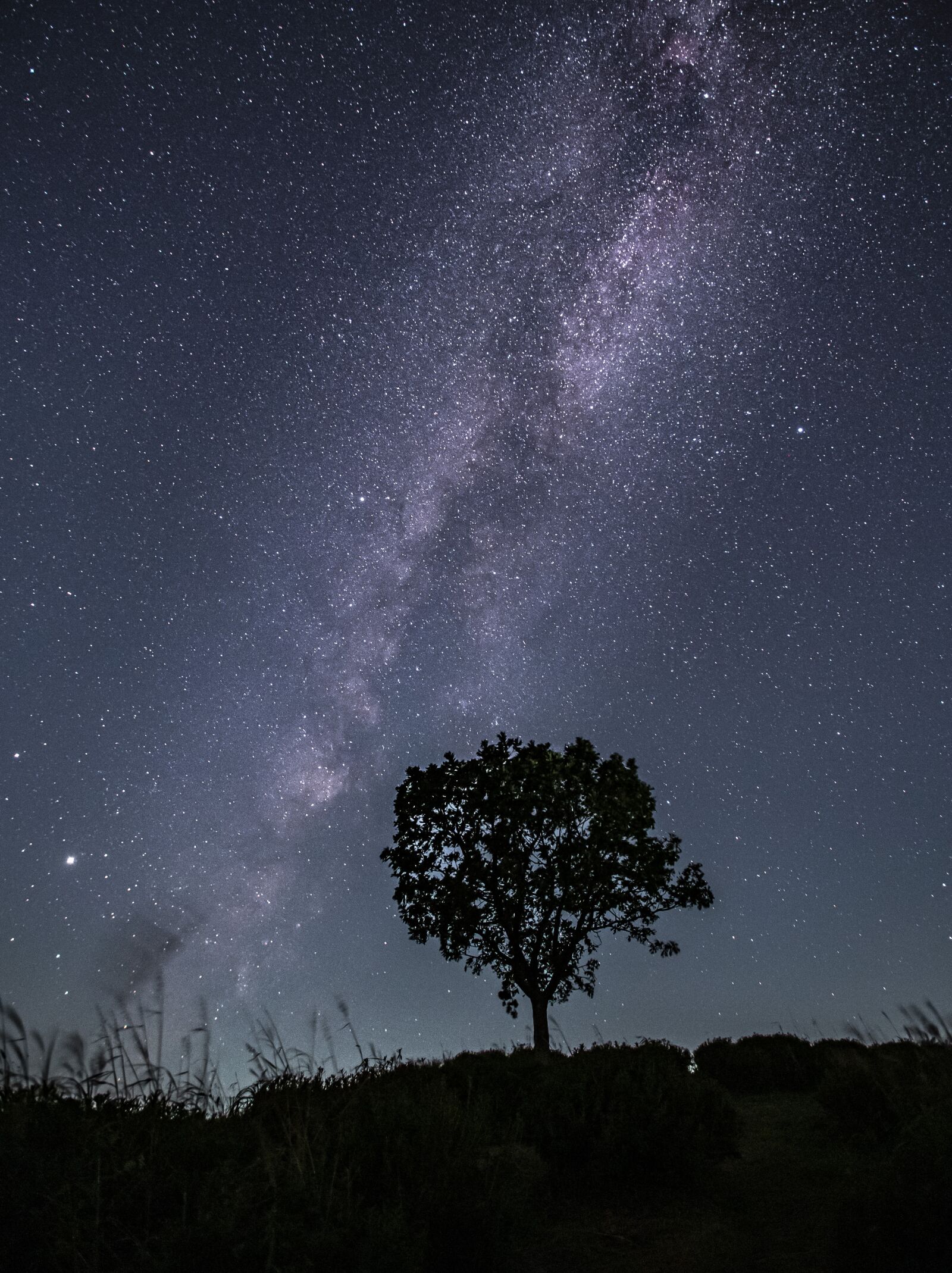 Canon EF 16-35mm F2.8L II USM sample photo. The milky way, star photography