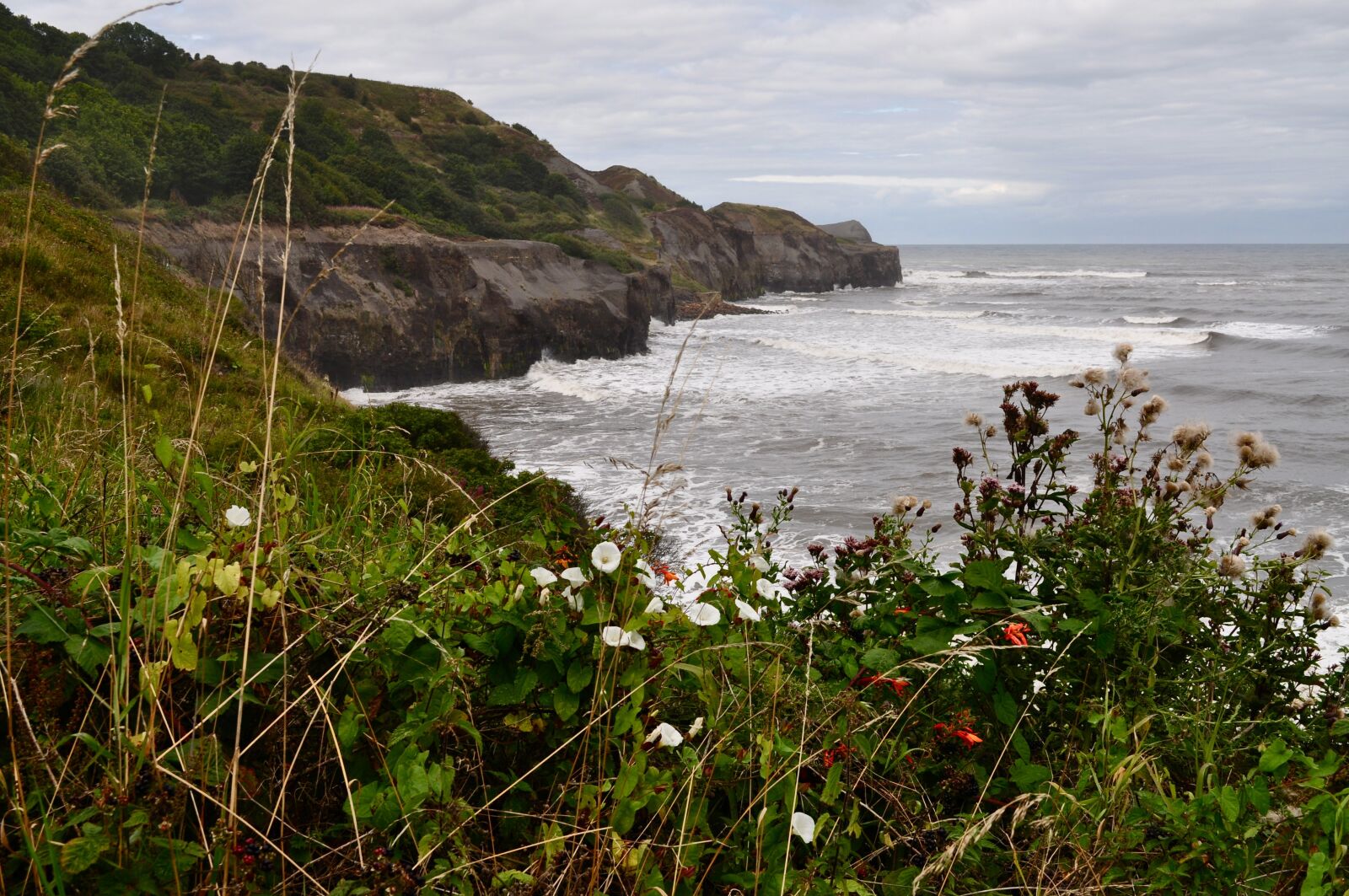 Nikon D5000 sample photo. Robin hood's bay, coast photography