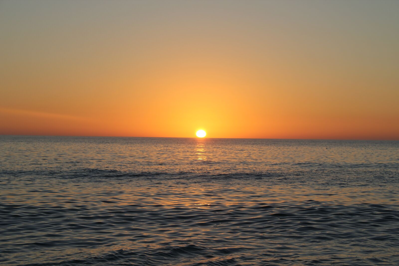 Canon EOS 550D (EOS Rebel T2i / EOS Kiss X4) sample photo. Florida sun set, horizon photography