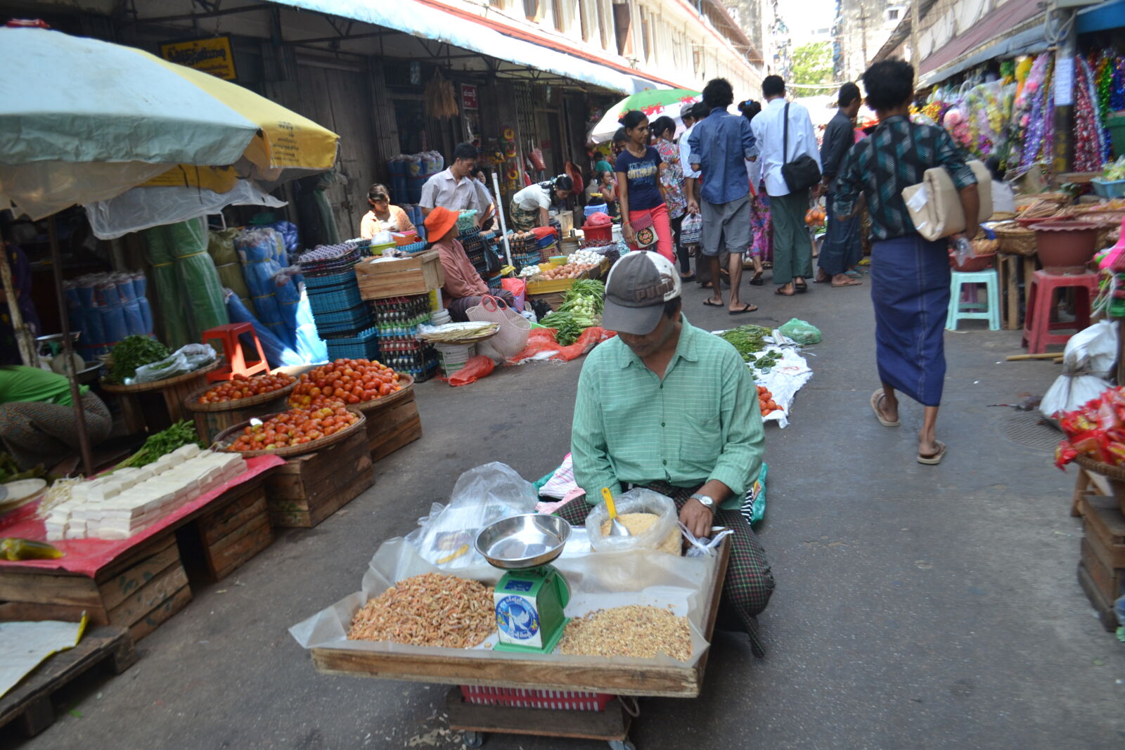 Nikon D3100 sample photo