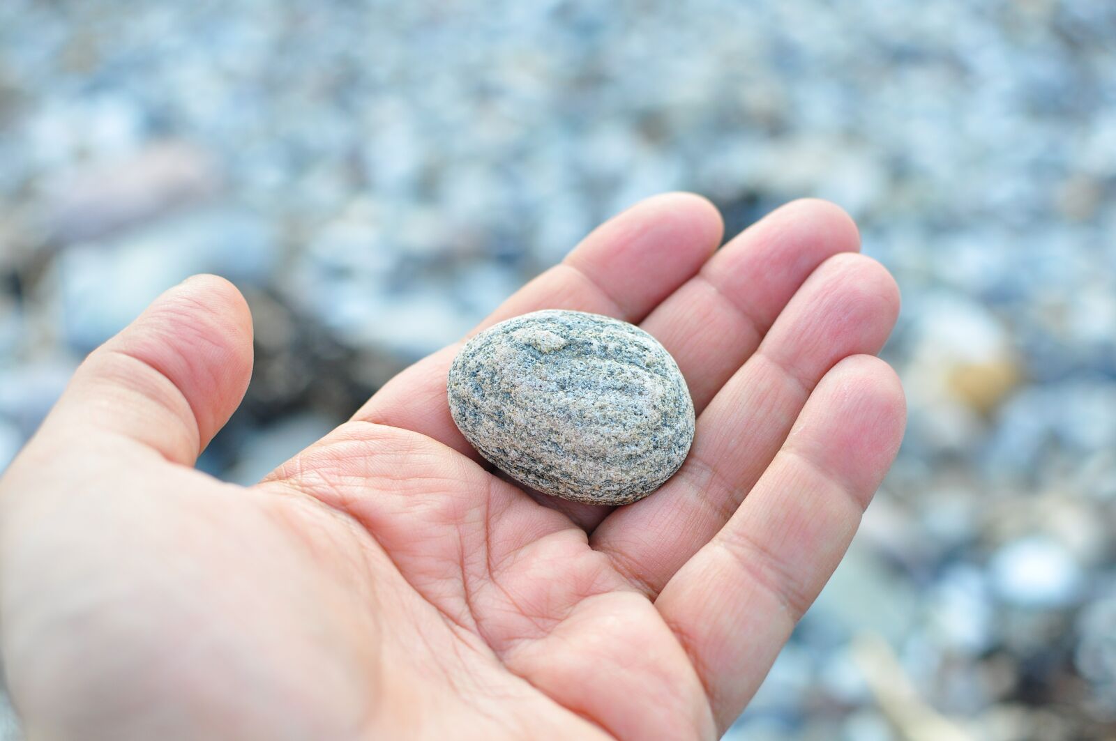 Nikon D90 sample photo. Nature, beach, stone photography