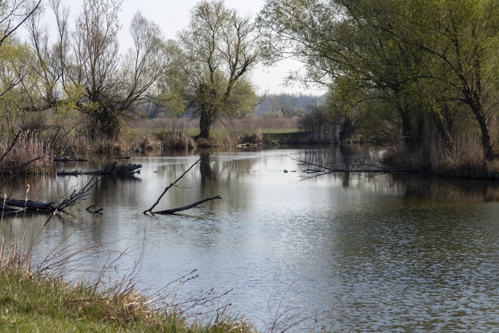 Canon EF75-300mm f/4-5.6 sample photo. Landscape, river, water photography