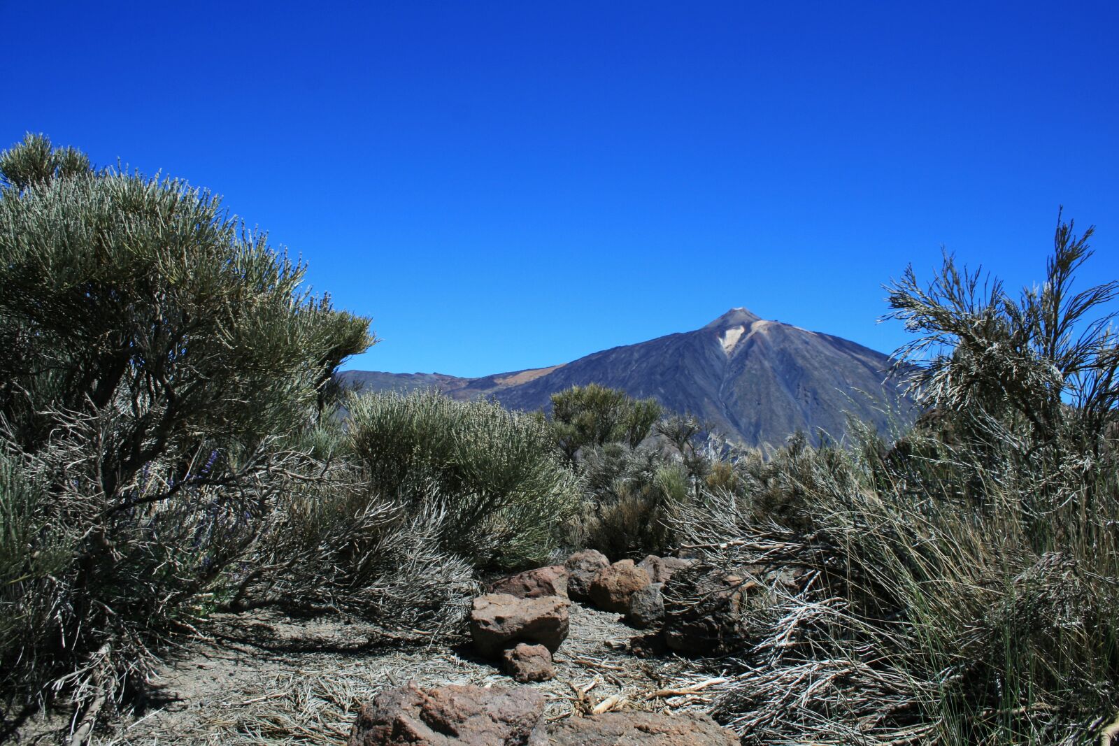 Canon EOS 400D (EOS Digital Rebel XTi / EOS Kiss Digital X) sample photo. Canary islands, teide national photography