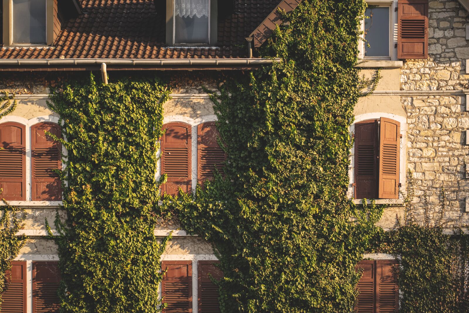 Nikon D5300 sample photo. Facade, window, architecture photography