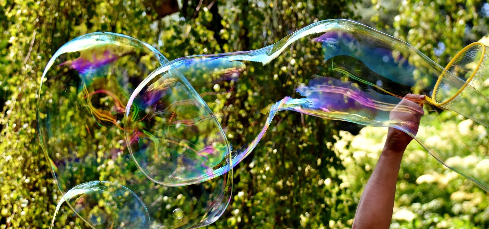 Nikon D7200 sample photo. Soap bubble, huge, large photography