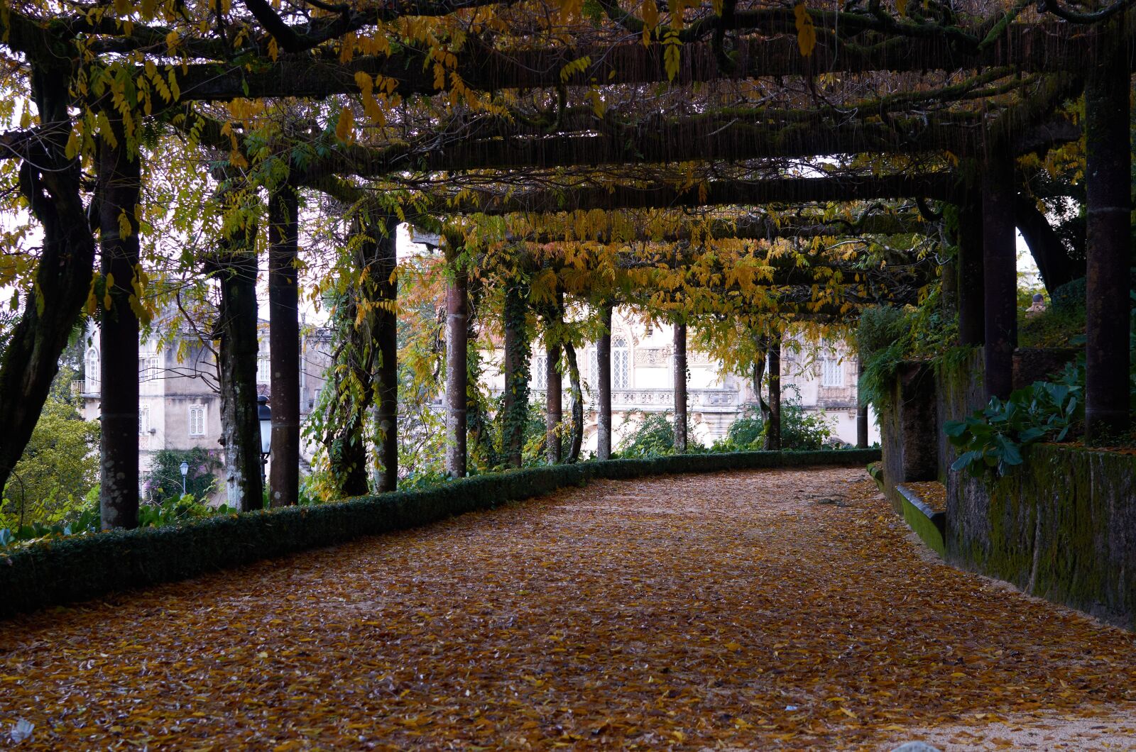 Nikon AF-S DX Nikkor 35mm F1.8G sample photo. Palace, garden, autumn photography