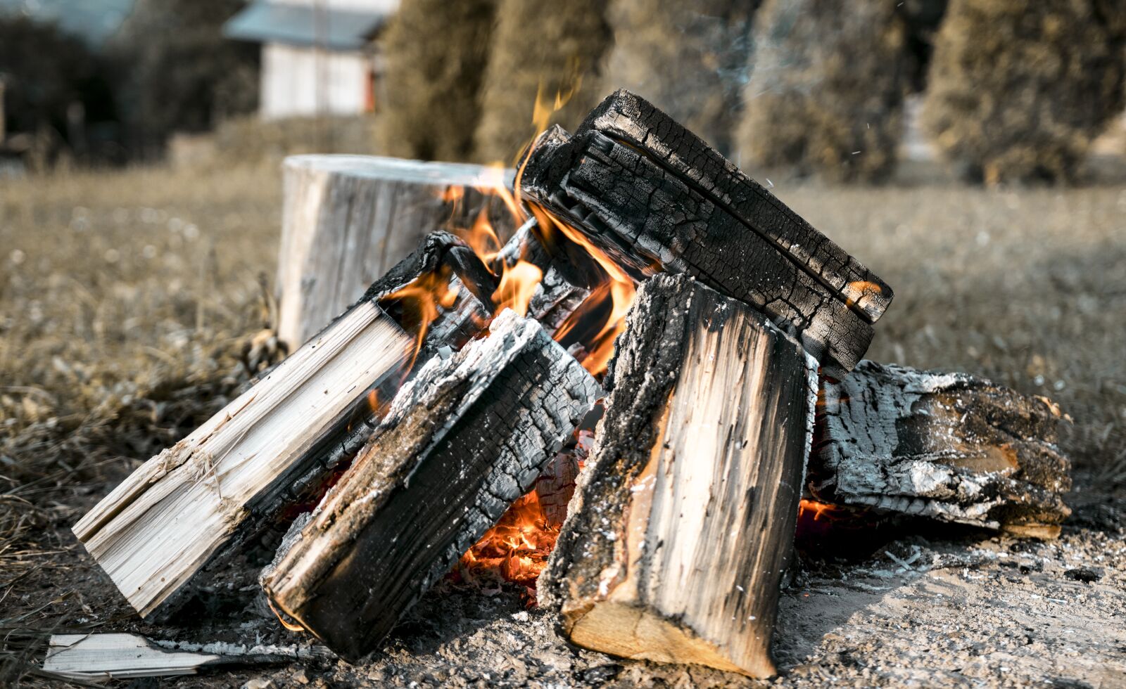 Canon 18-35mm F1.8 DC HSM | Art 013 sample photo. Fire, log, an outbreak photography