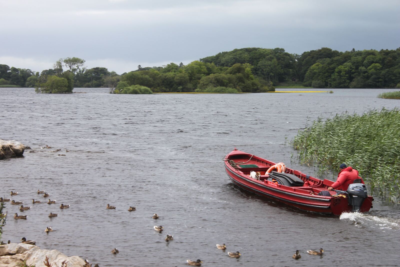 Canon EOS 500D (EOS Rebel T1i / EOS Kiss X3) sample photo. Killarney, lakes, ireland photography