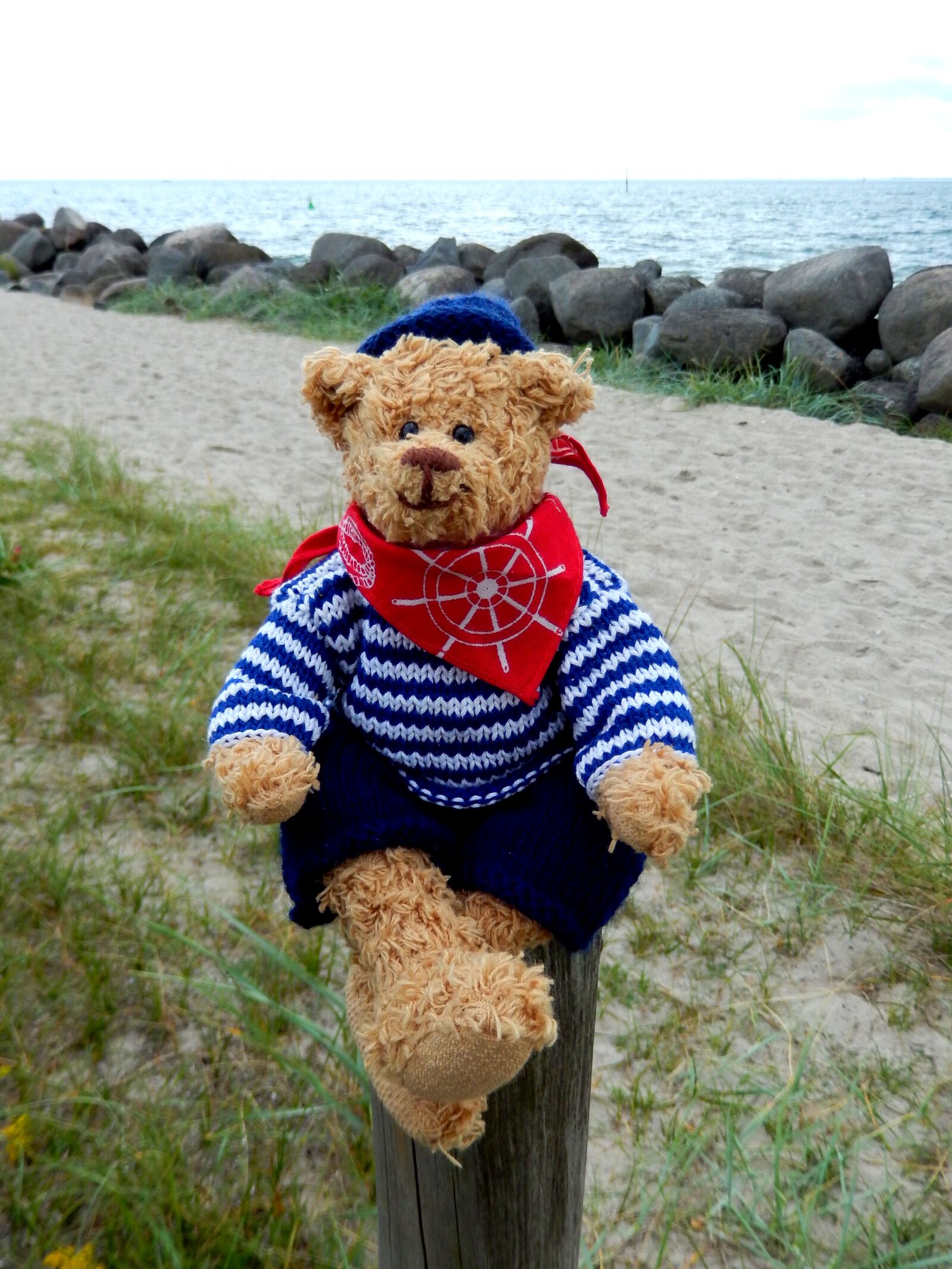Nikon COOLPIX S9400 sample photo. Teddy, teddy bear, stuffed photography