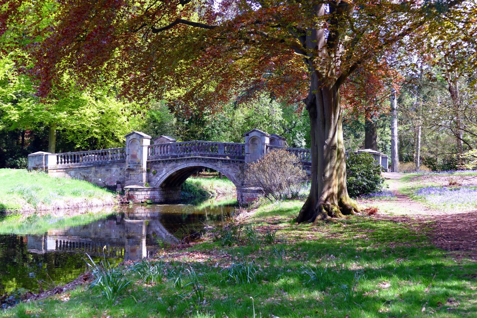 Panasonic Lumix DMC-FZ1000 sample photo. Park, bridge, nature photography