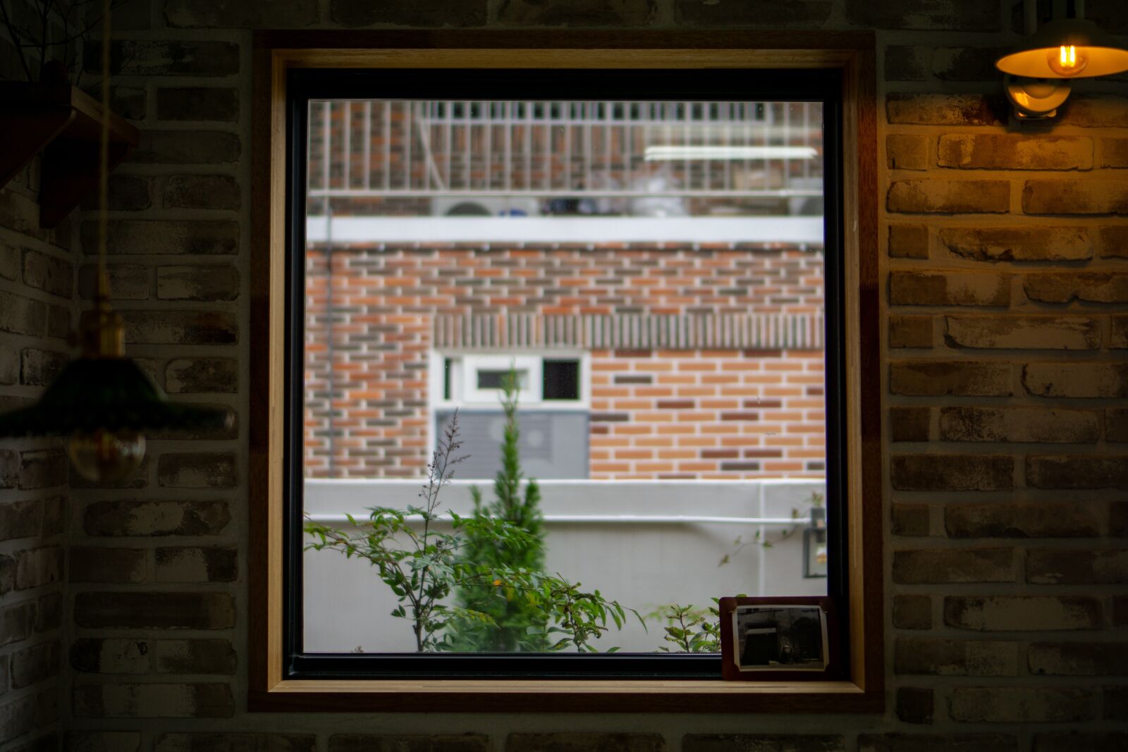 Sony a6000 sample photo. Window, cafe, view photography
