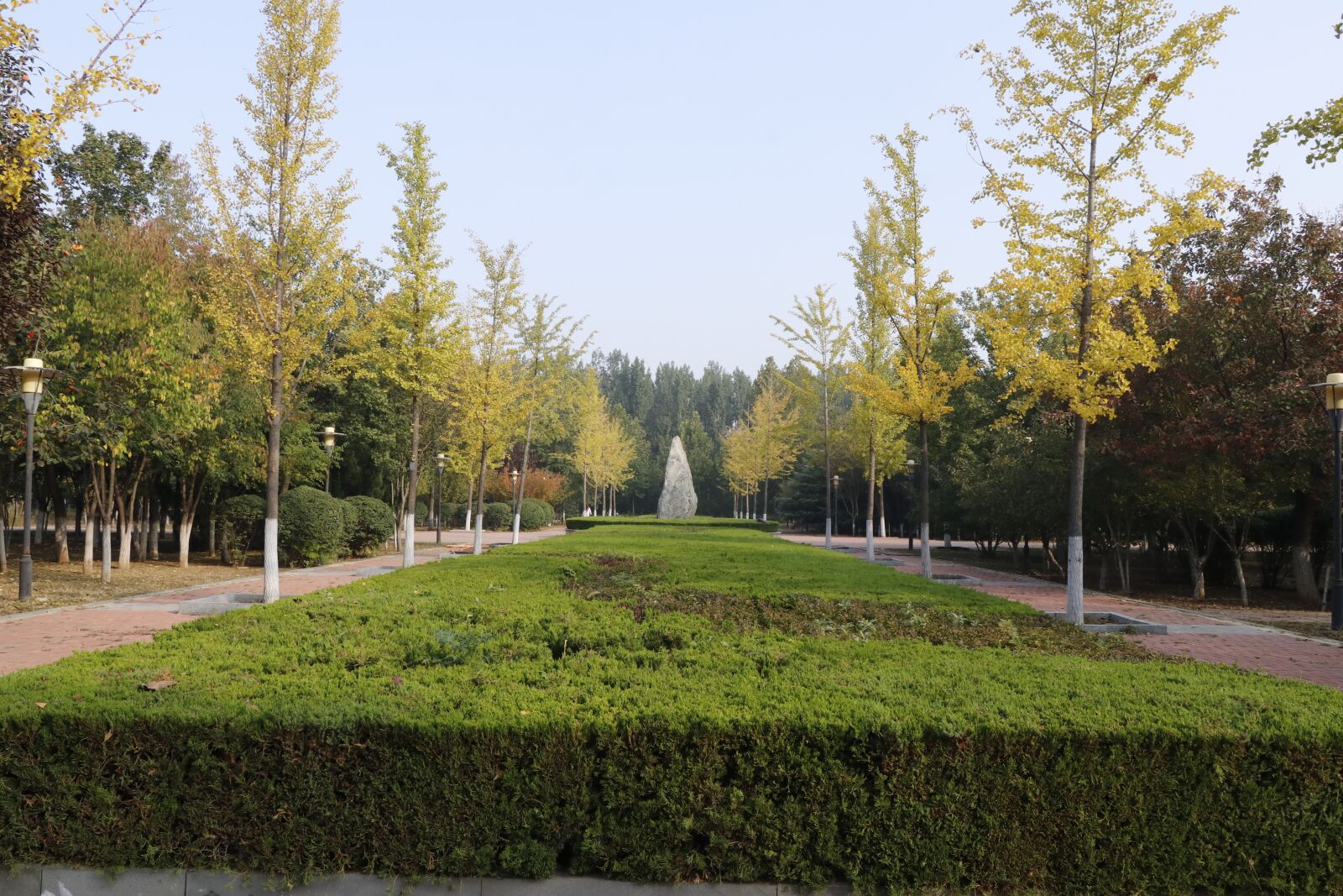 Canon EOS 80D sample photo. 校园, 风景, 天气 photography