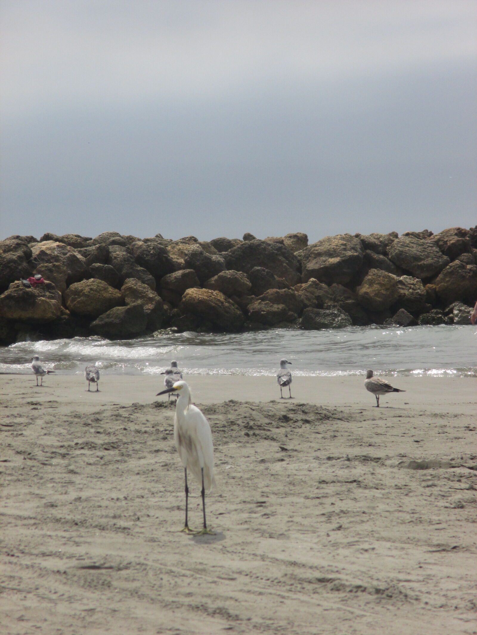 Canon PowerShot ELPH 135 (IXUS 145 / IXY 120) sample photo