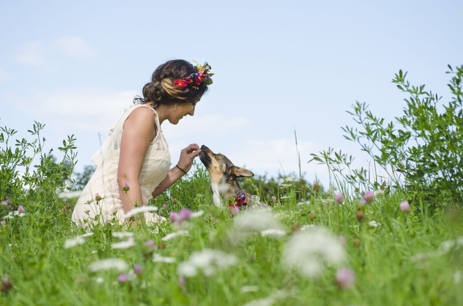 Nikon D5100 sample photo. Dog, pet, small dog photography