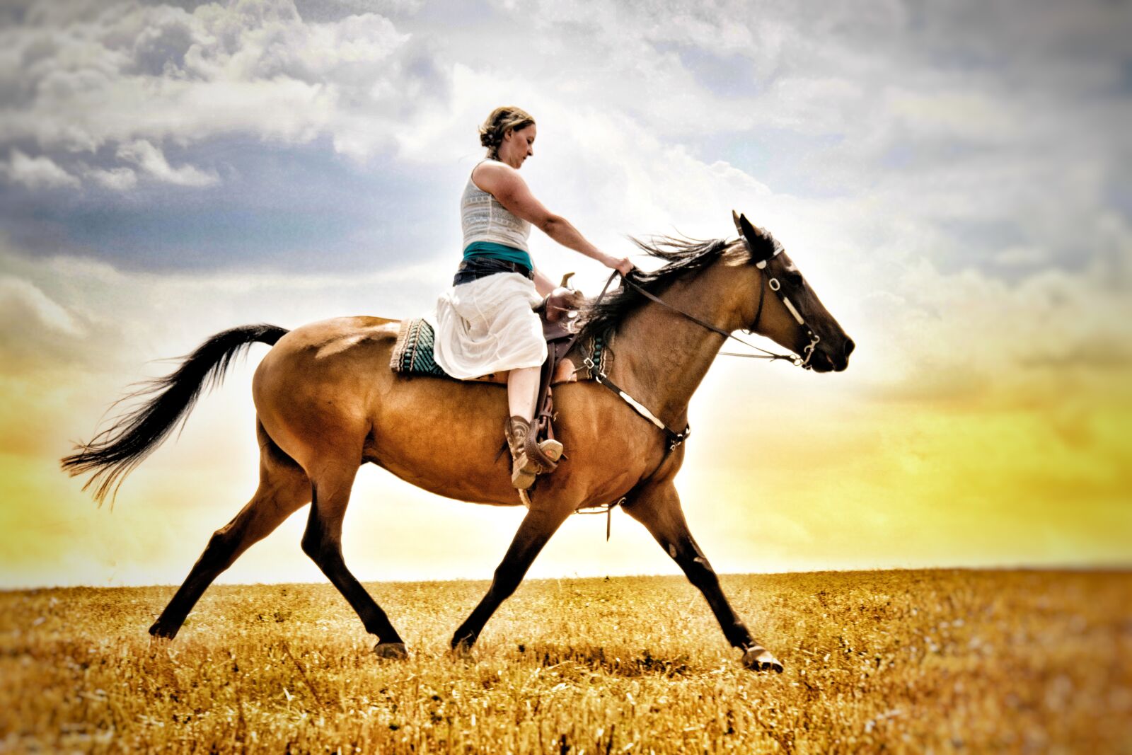 Nikon D3300 sample photo. Ride, trot, horse photography