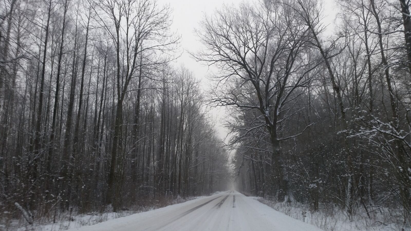 Samsung Galaxy S5 sample photo. Winter, way, forest photography